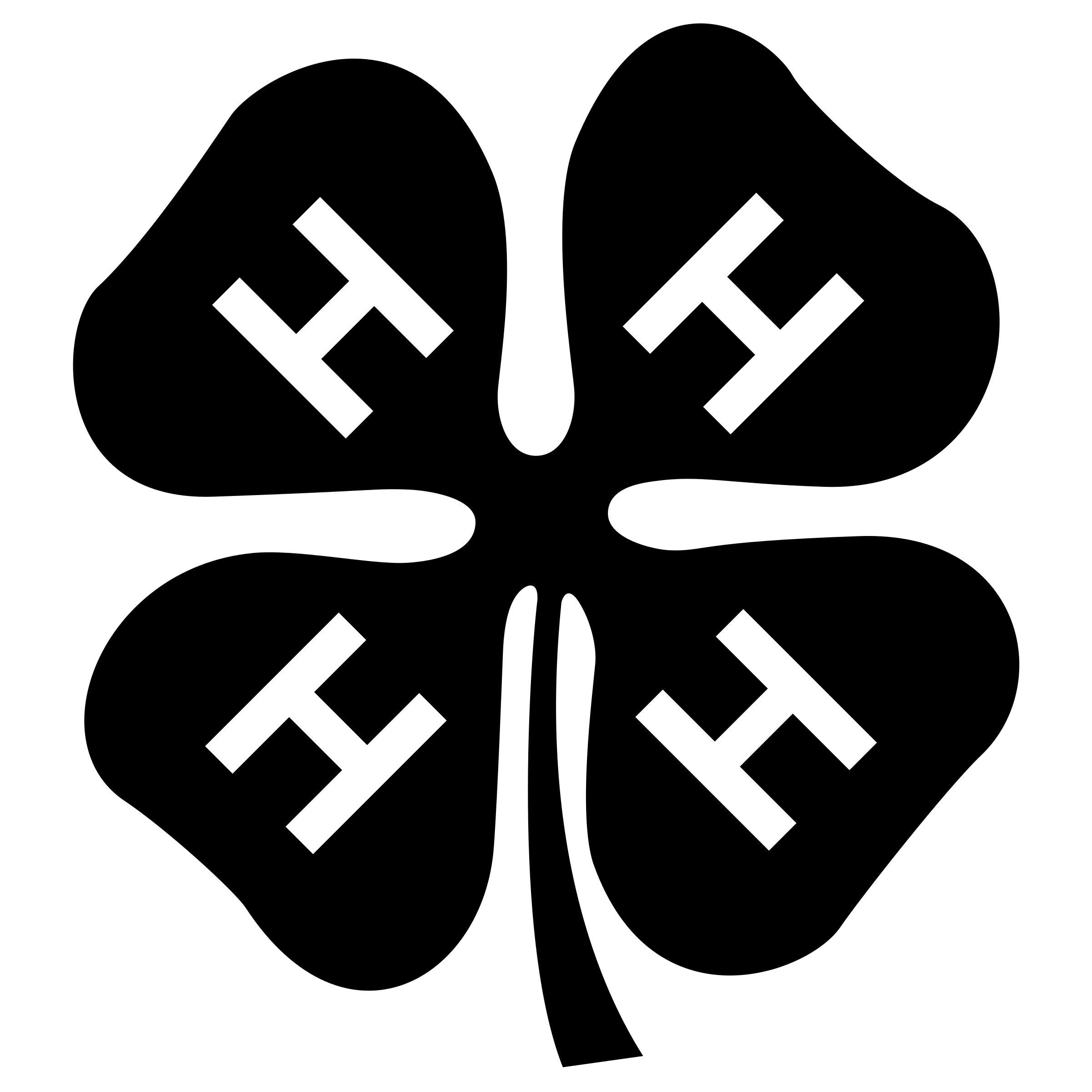 TOP KEYNOTE SPEAKER FOR 4H