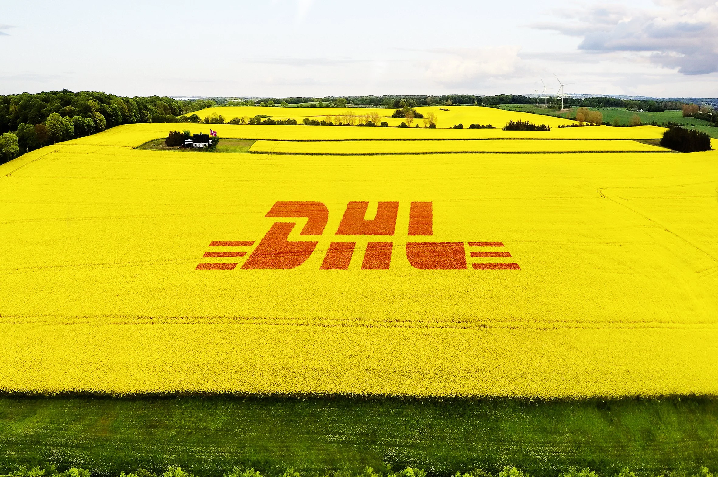 DHL Express_4.jpg