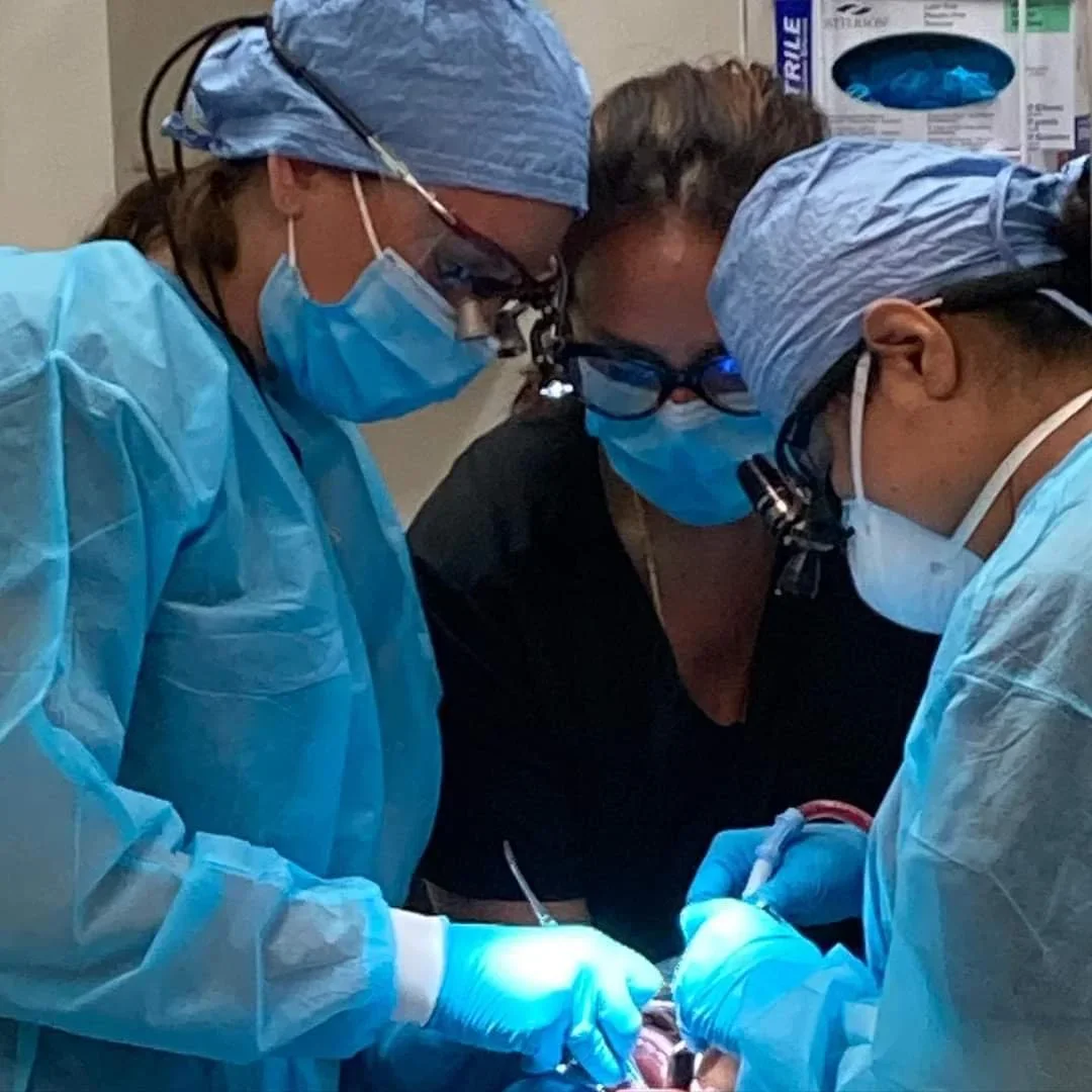 Expertise In Action: Dr. Chan Completes Advanced Dental Implant Mini-Residency Program