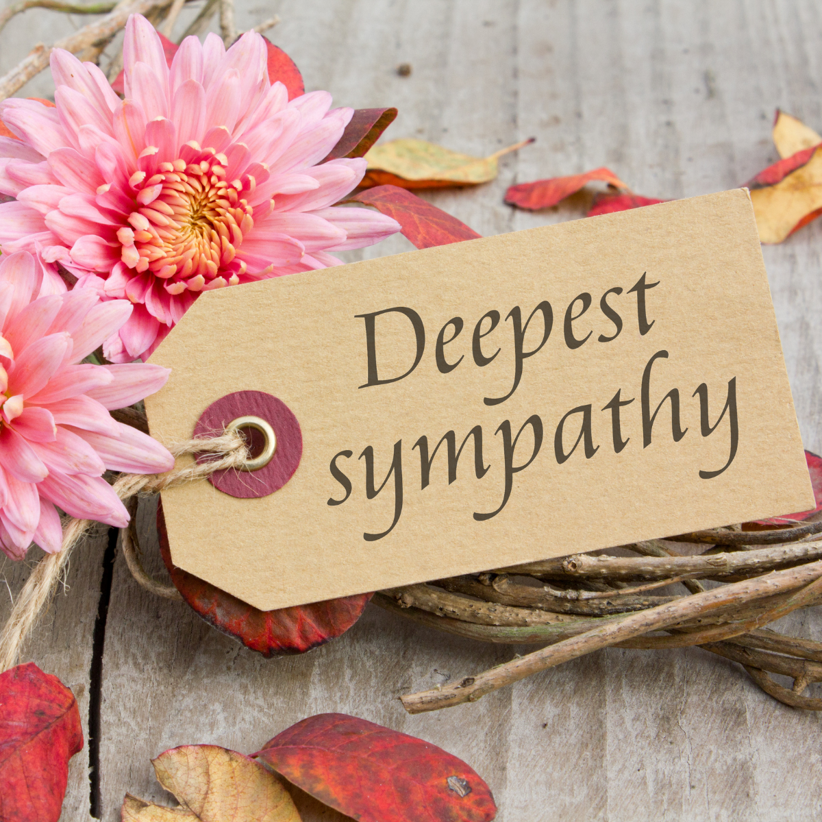 Condolences &amp; Heartfelt Welcome to Doctor Thomas F. Beach’s Patients