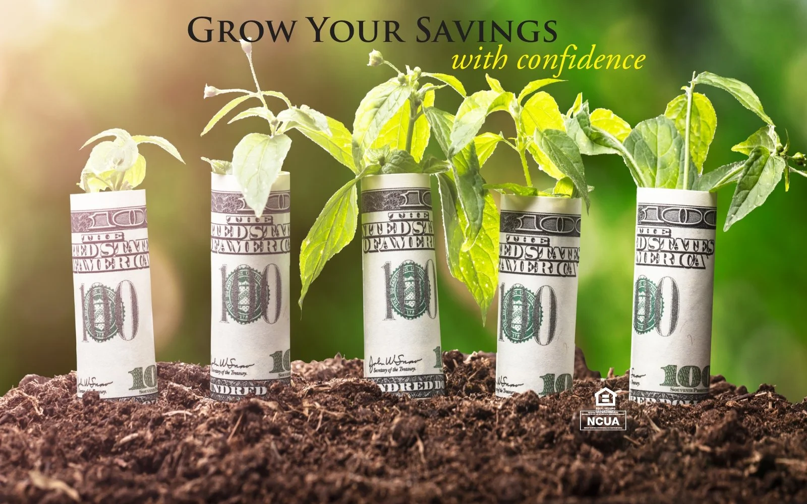 NEW MONEY Certificate of Deposit Special!