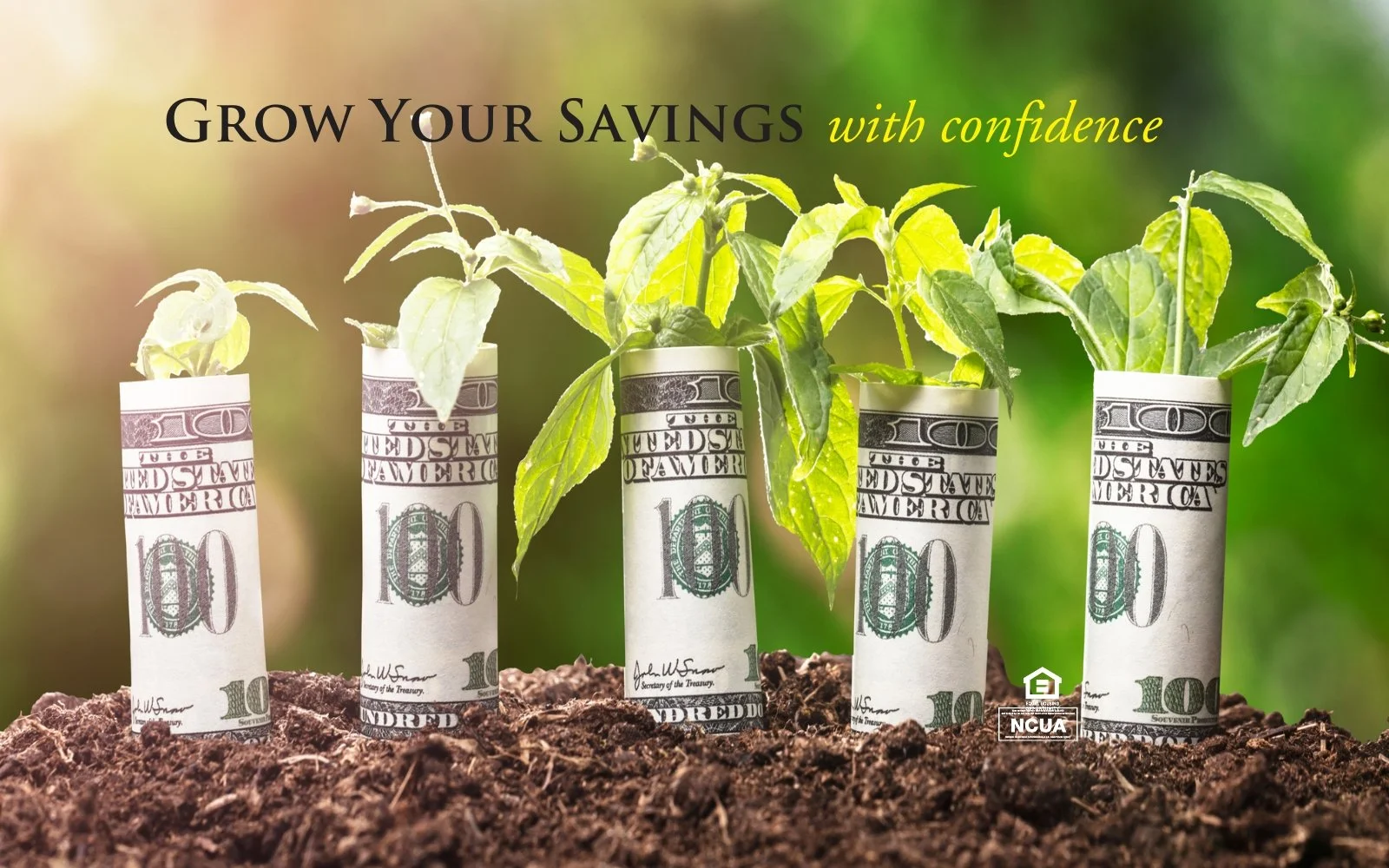 NEW MONEY Certificate of Deposit Special!