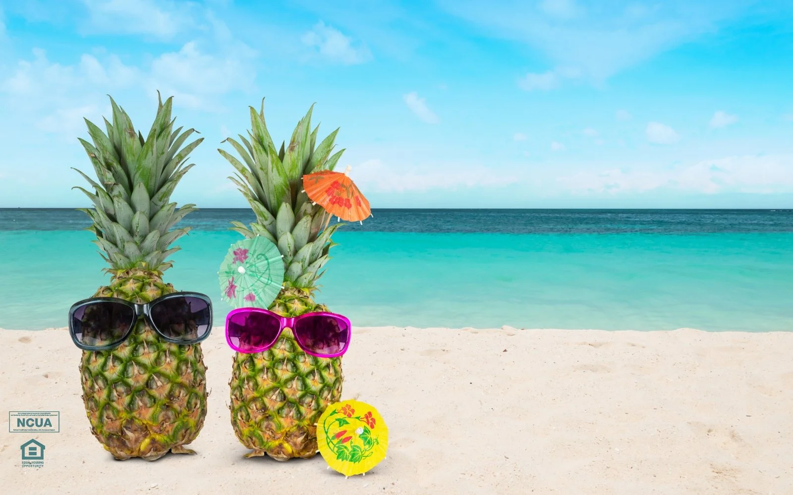 Summer Skip A Pay is Back!   
