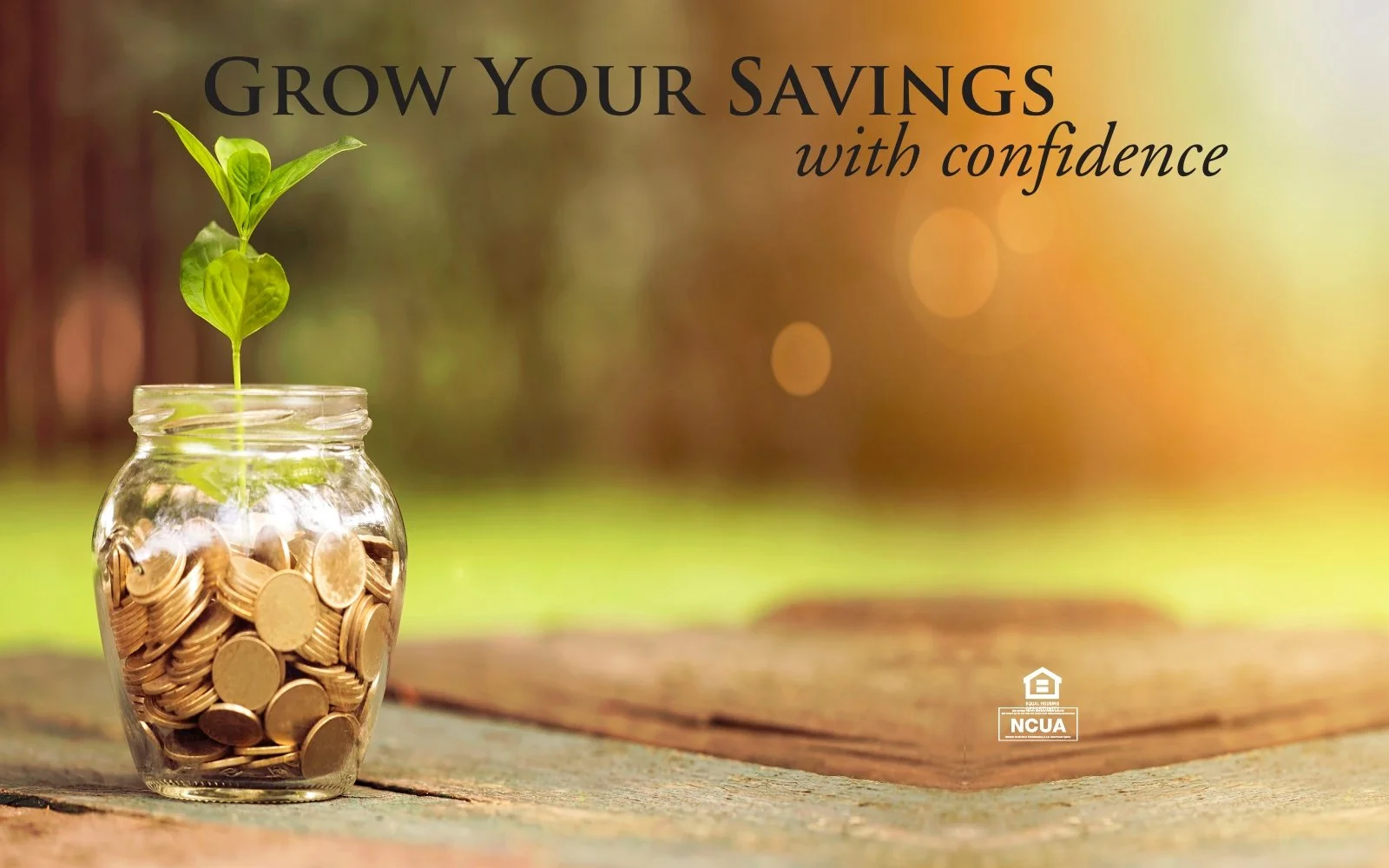 NEW MONEY Certificate of Deposit Special!