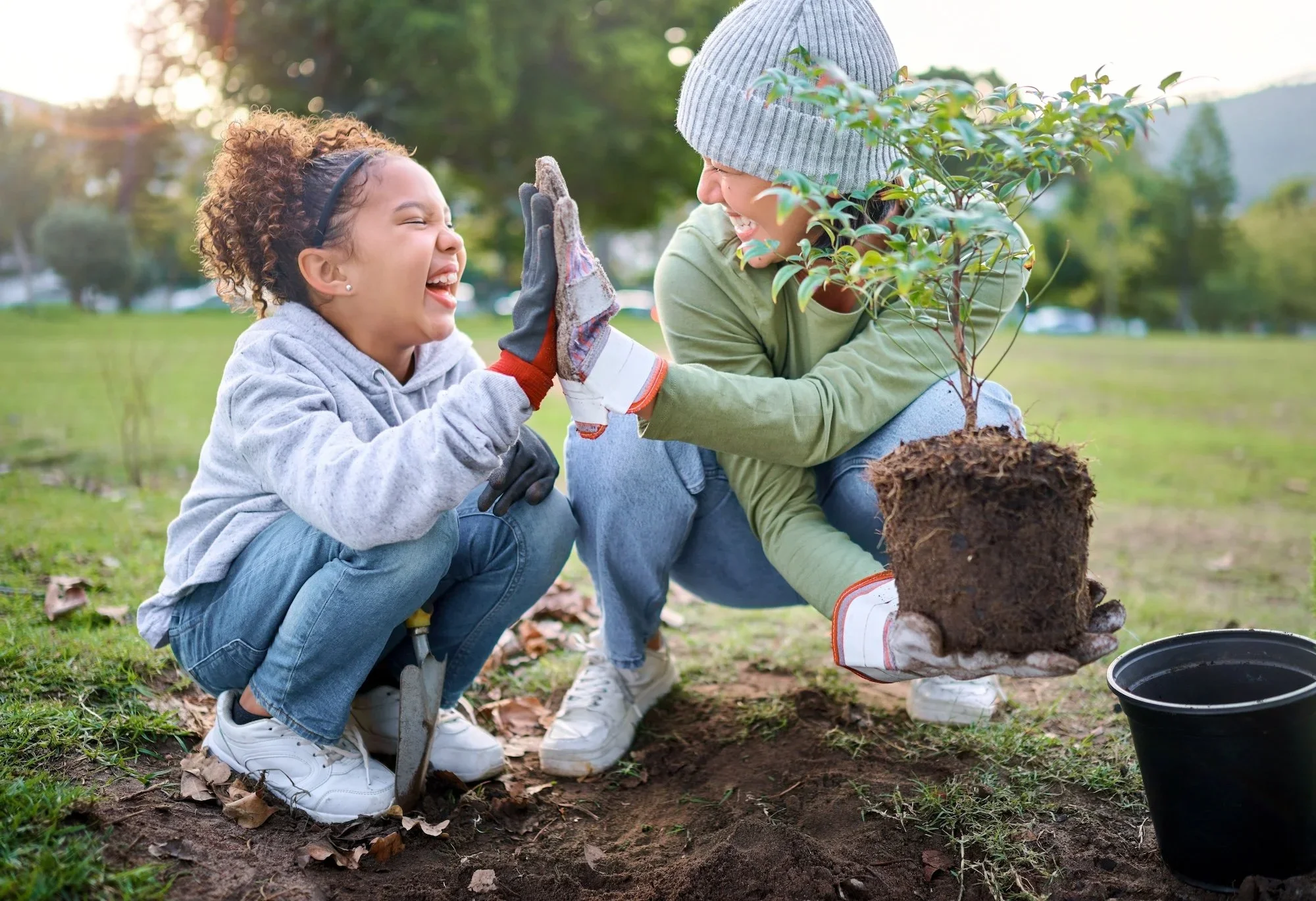 Grow Your Savings With Share Certificates