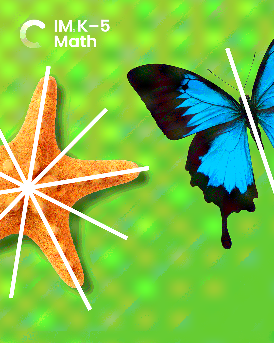 Illustrative Mathematics Illustration System