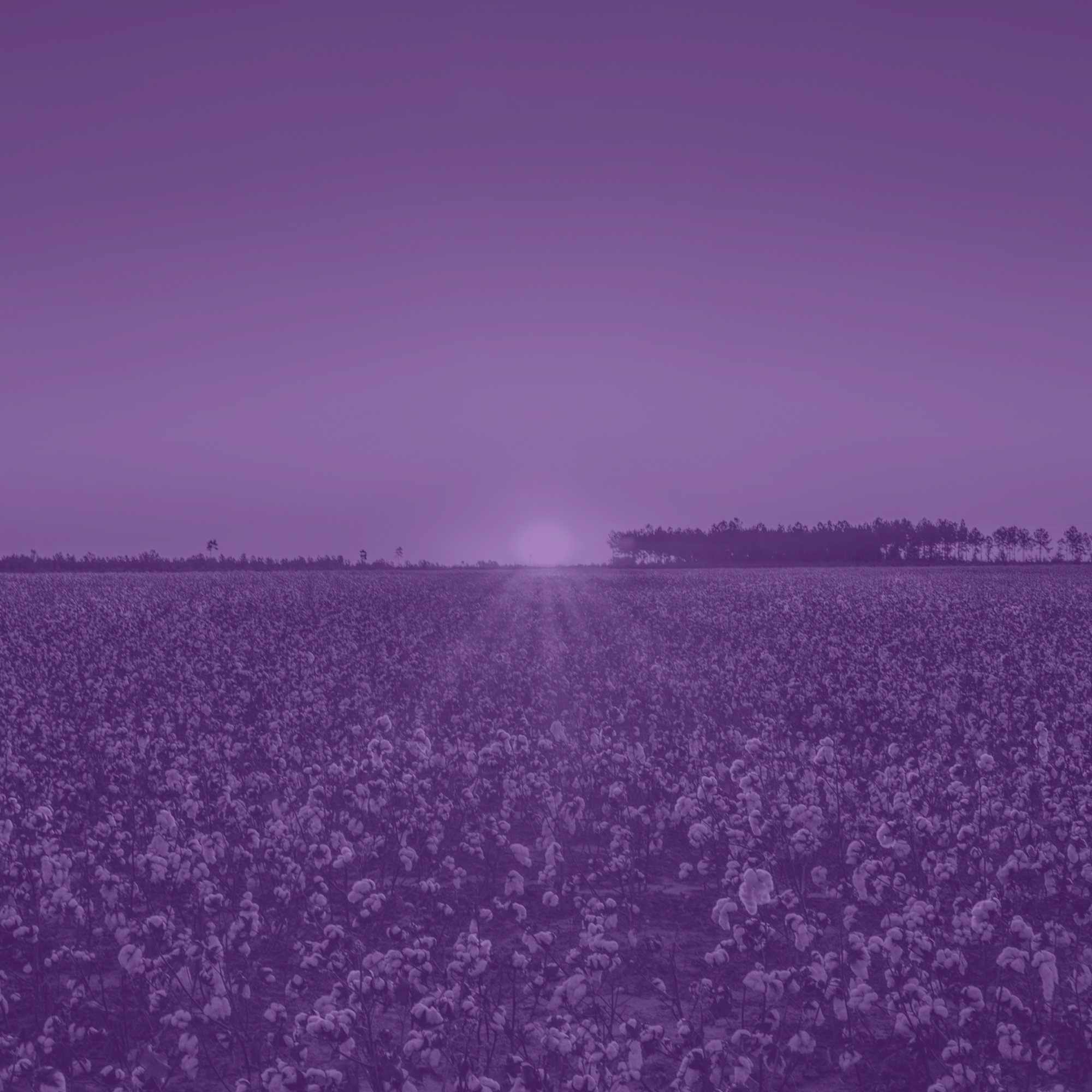 Alabama landscape