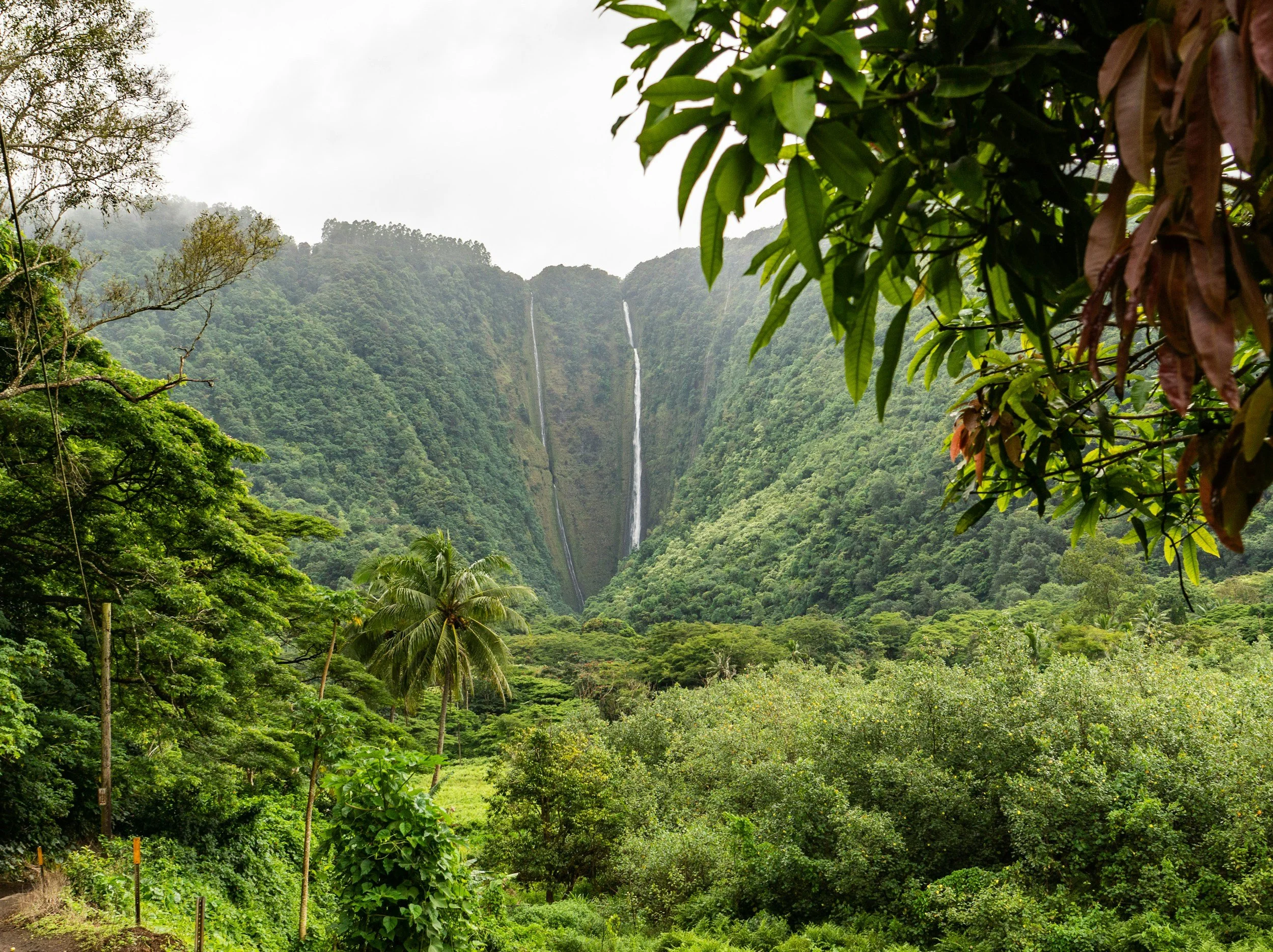 Kokua E kou 'Ohana