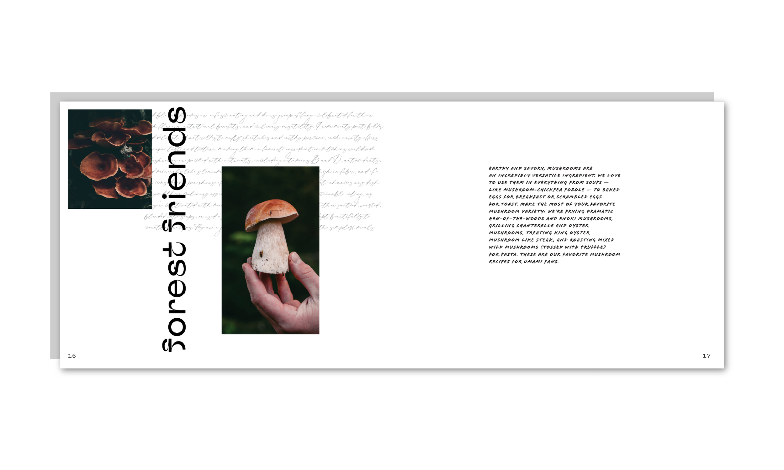 3rogue kitchen_2.png