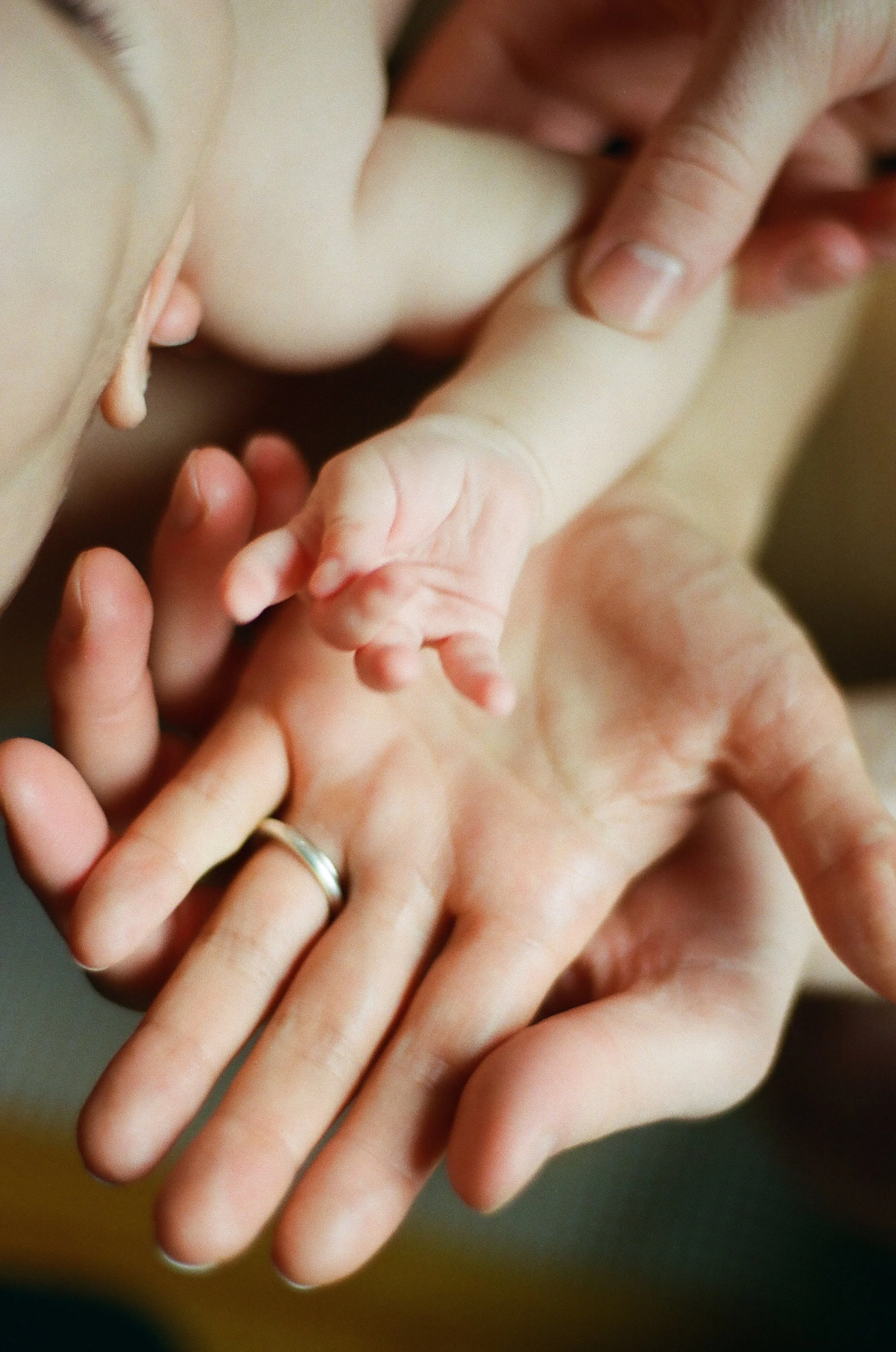 019060980018 copie*.jpg