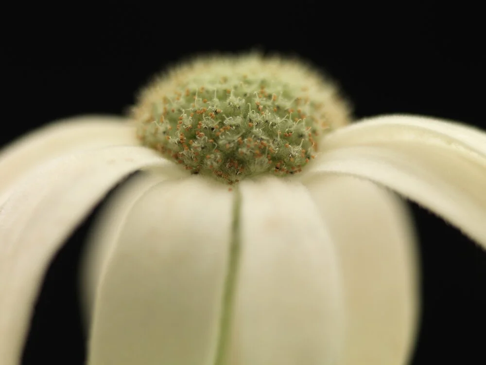 36_EKC7331D_8378.jpg