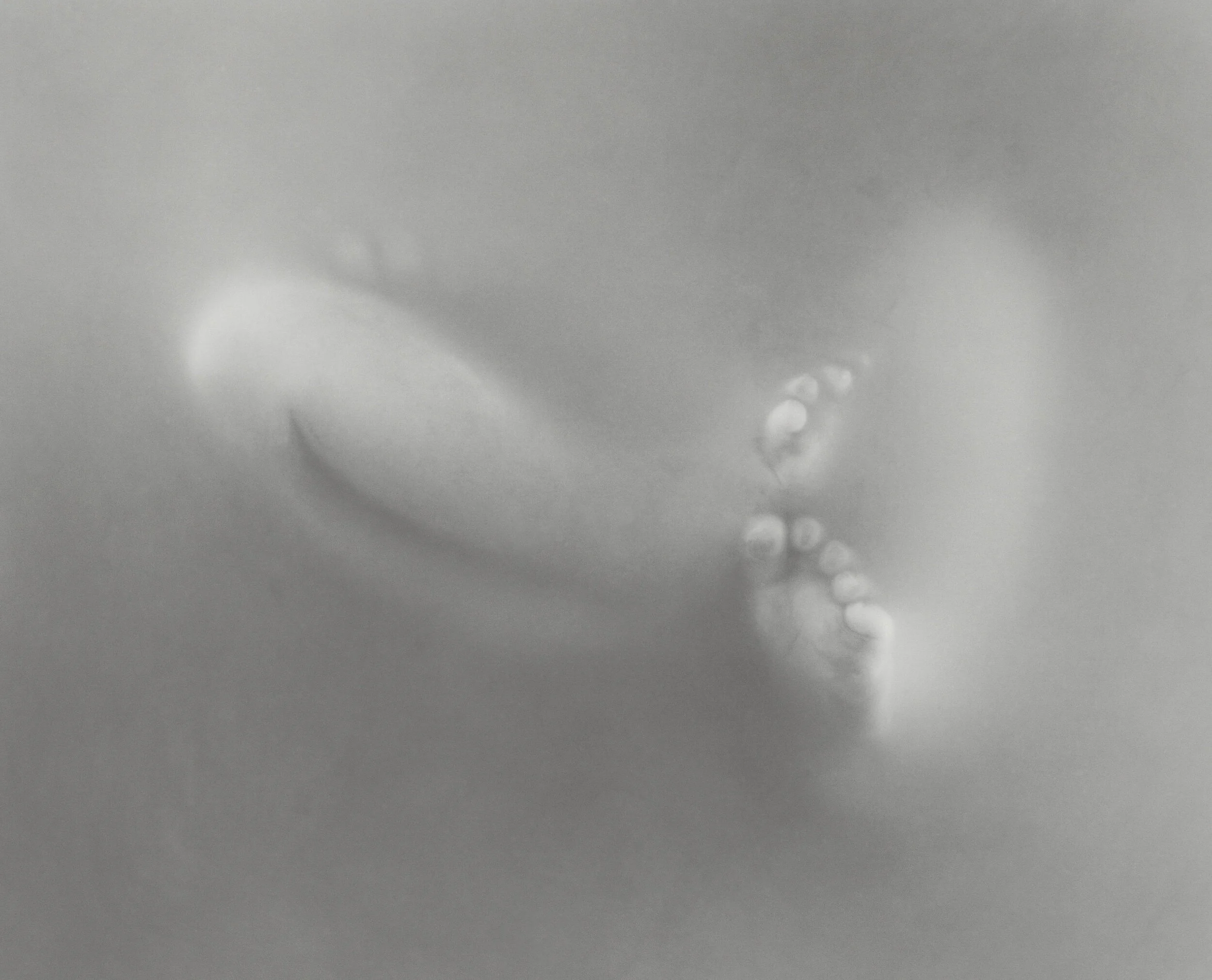 EK2036Nx_13028.jpg