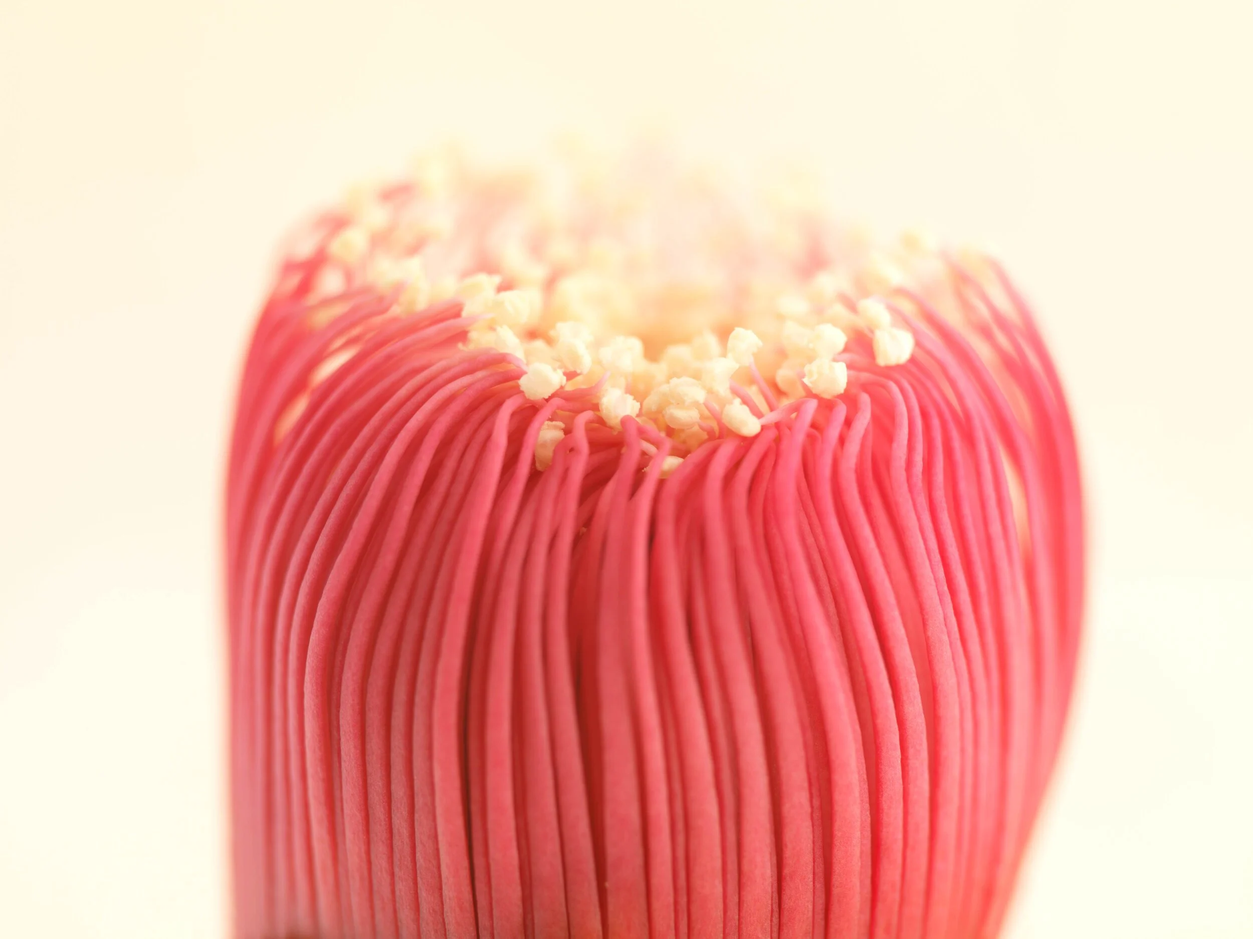 35_EKC7521D_8415.jpg