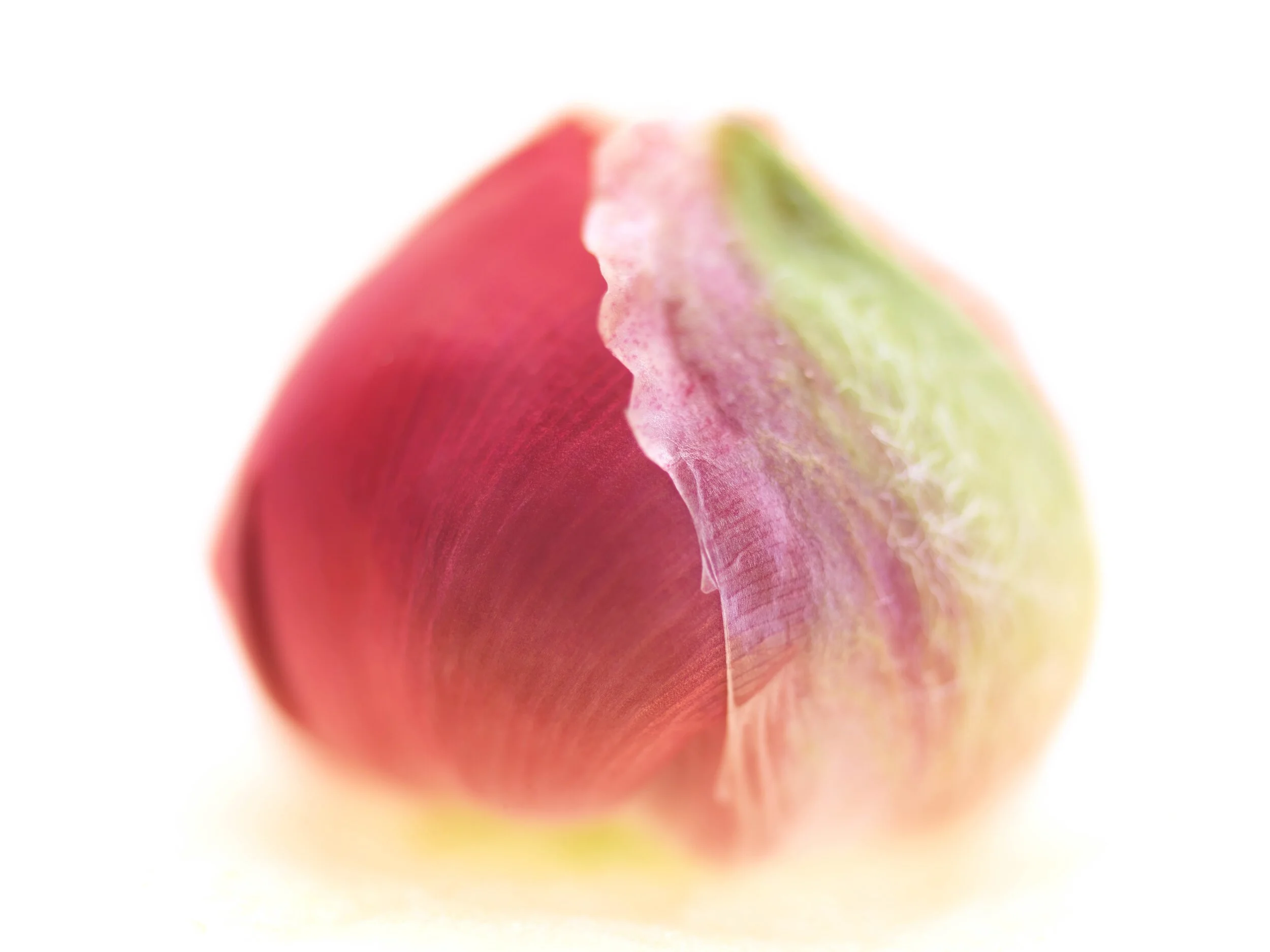 37_EKC7405D_8396.jpg