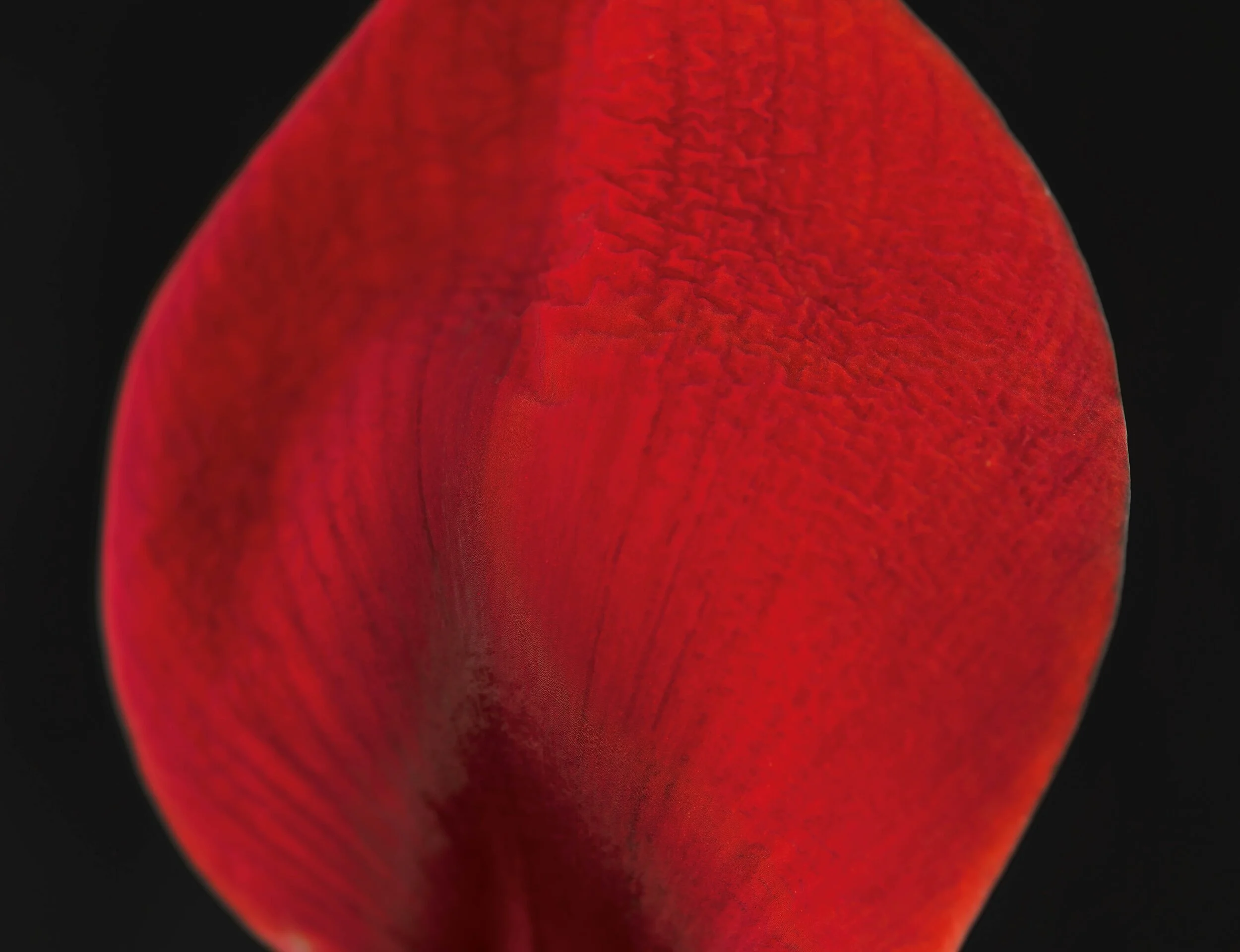 39_EKC8011Dx_12701.jpg