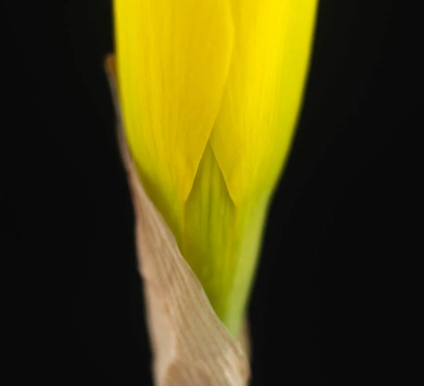 EKC7261Dx+1-0011390(1).jpg