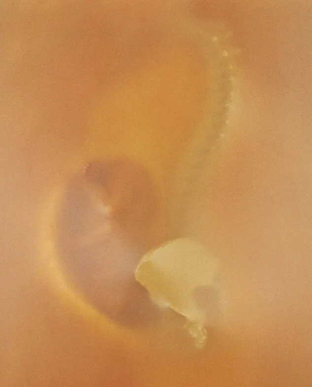 CDpic4.jpg
