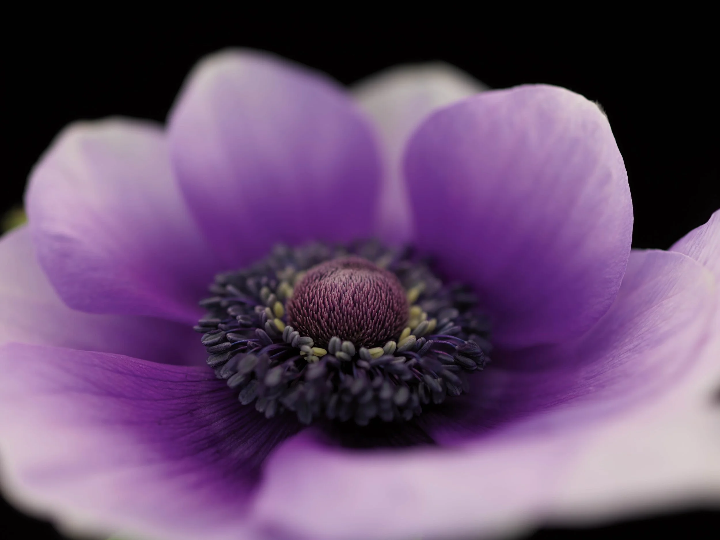 70_EKC8013Dx_12702.jpg