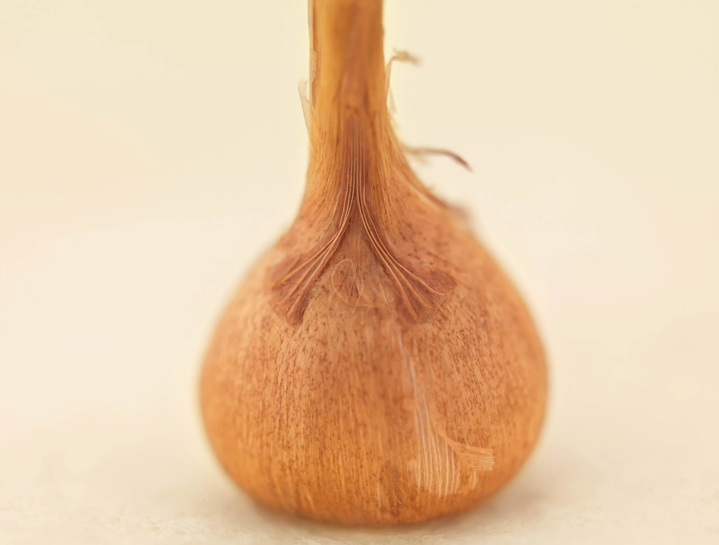 38_EKC7976Dx_12688.jpg