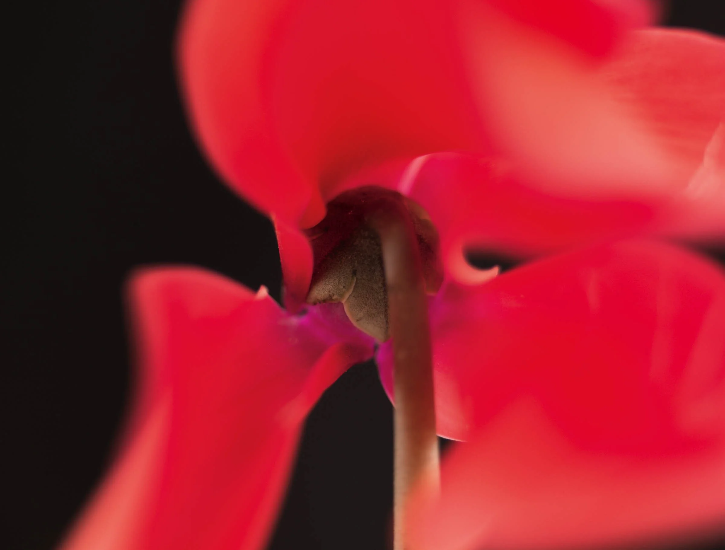 65_EKC7325Dx-0010776.jpg