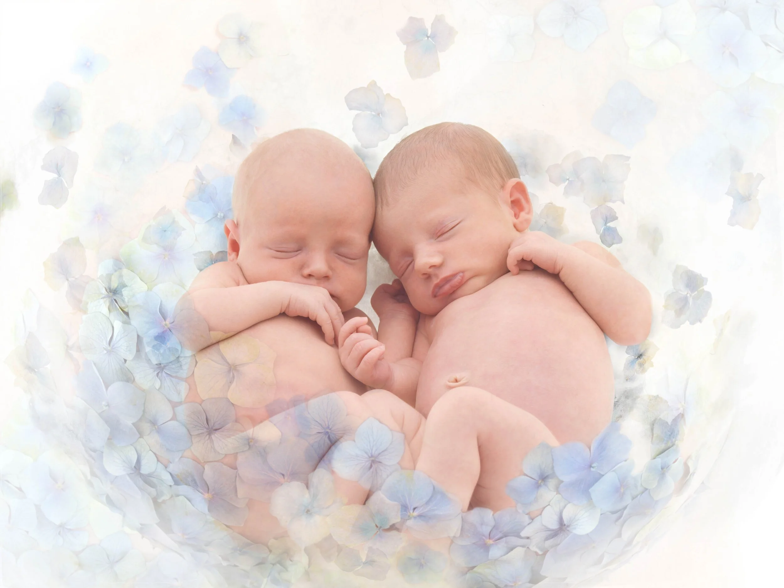 1_Beginnings_EKC6908D.jpg