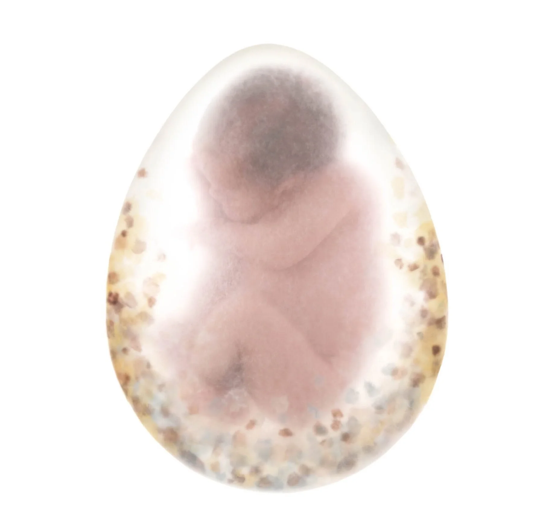 EKC7516D%2B_8291.jpg