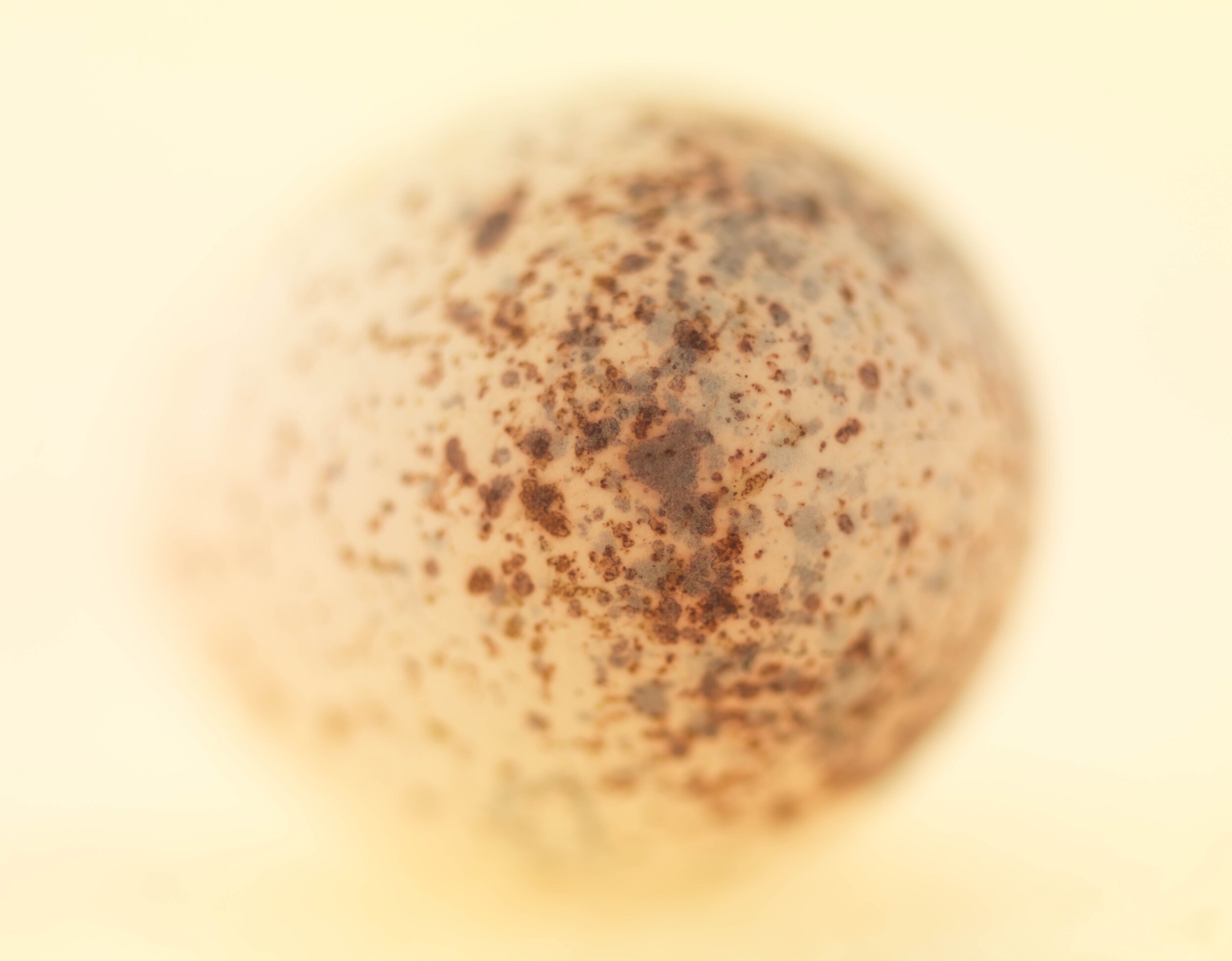 31_Beginnings_EKC7980Dx_12690.jpg
