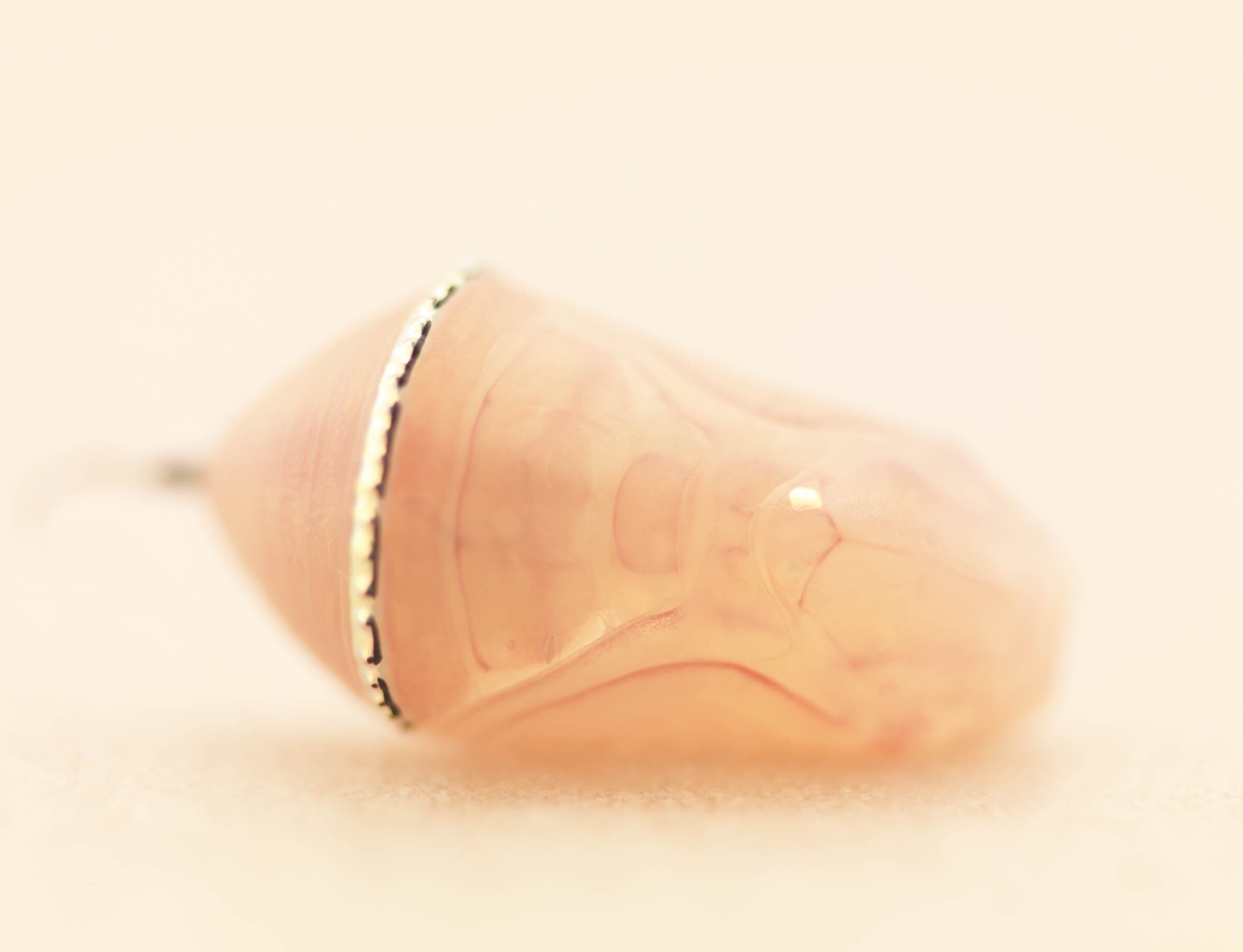 F39EKC7973D_9473.jpg