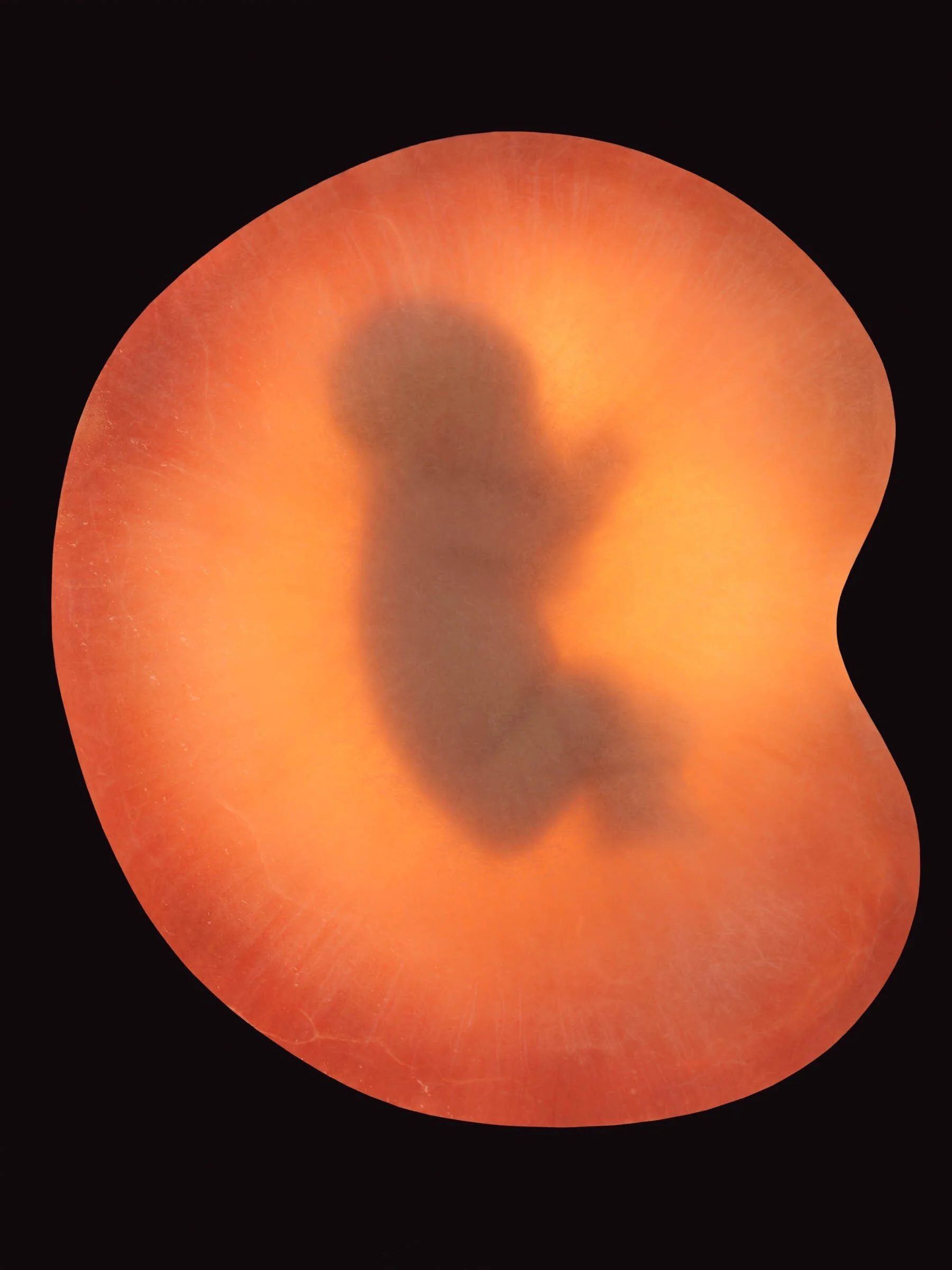EKC7168D+_8479.jpg