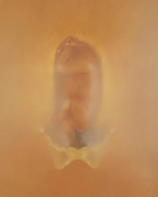 CDpic5.jpg