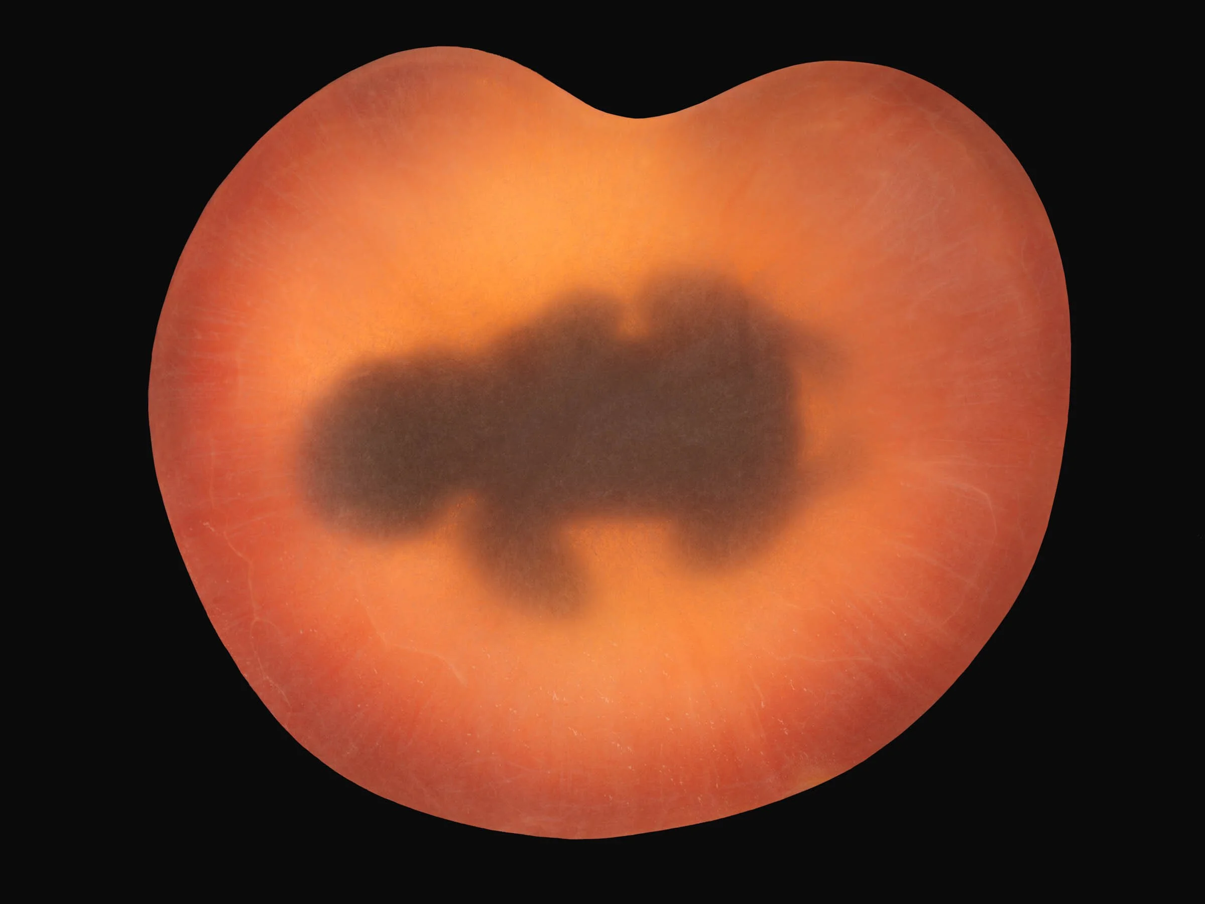 EKC7166D+_8277.jpg