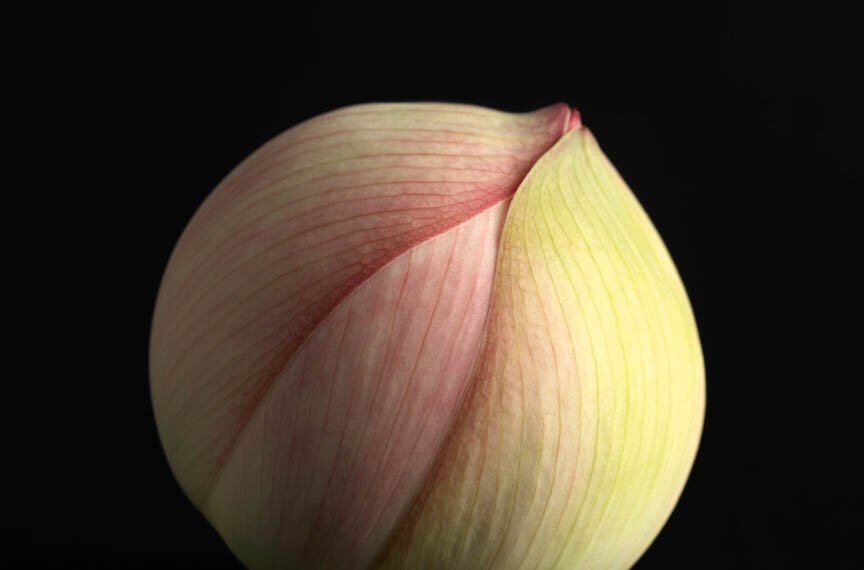 EKC6975Dx+1-0011378.jpg