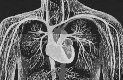 Black And White Heart GIF.gif