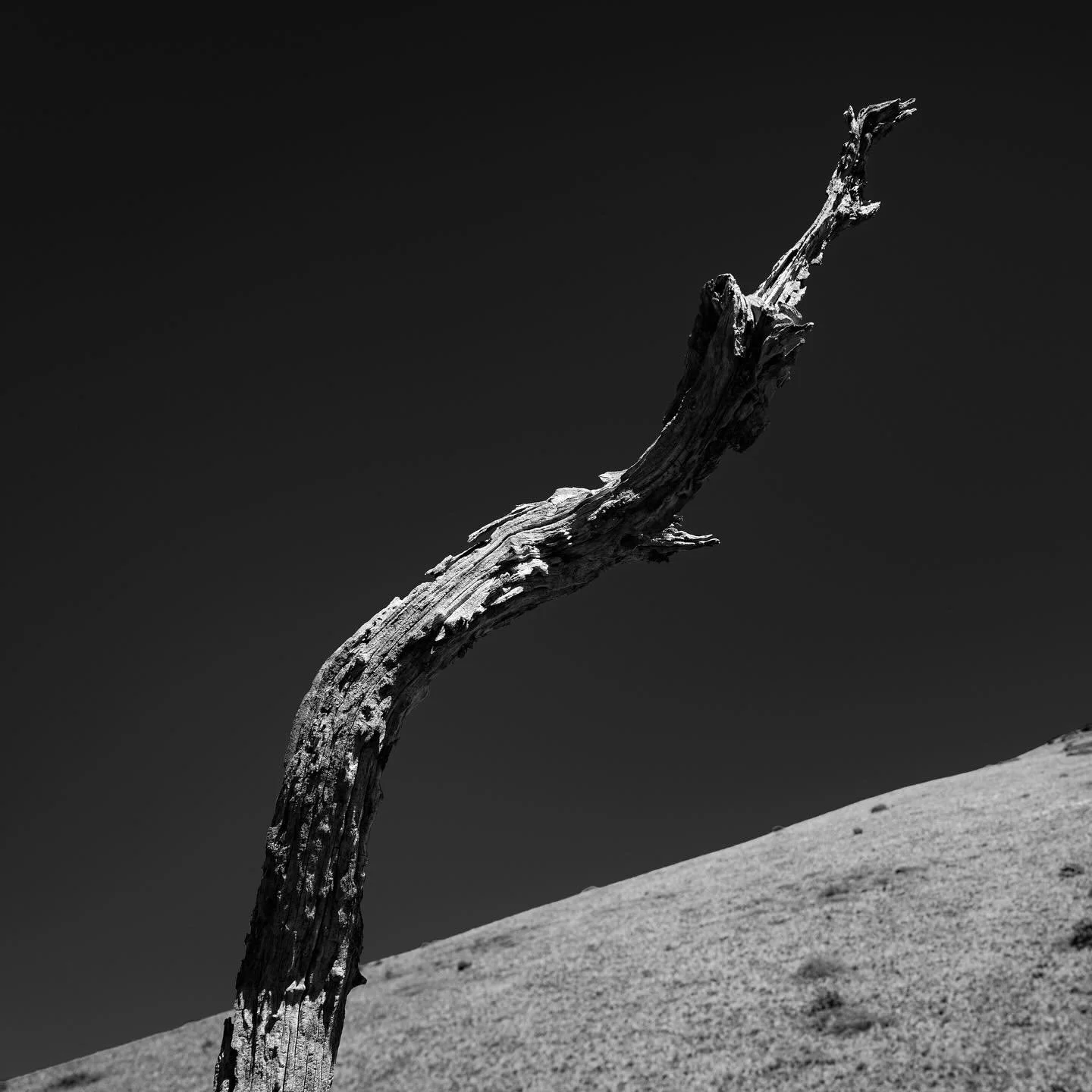 Erosional Depression &bull; 2025