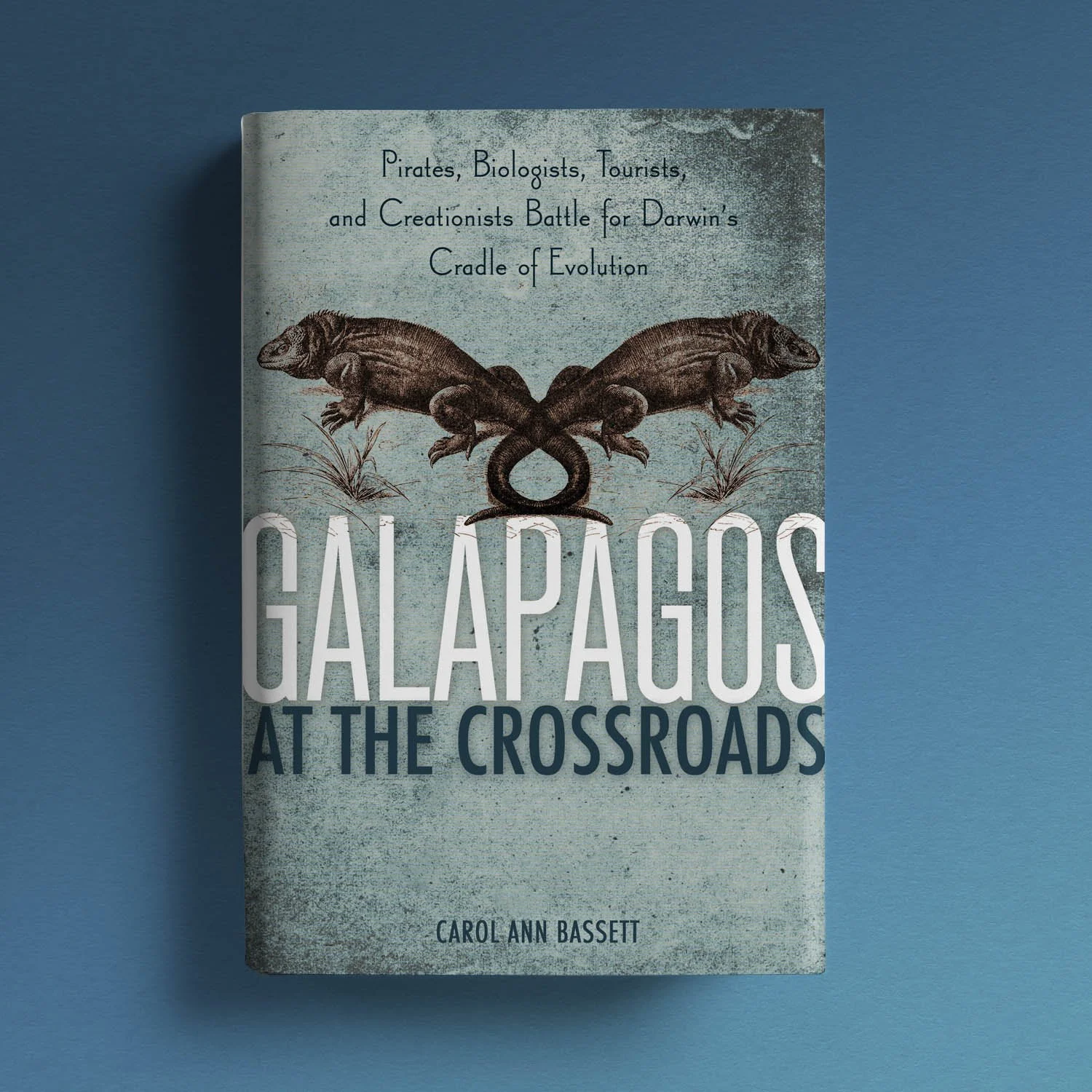Galapagos at the Crossroads