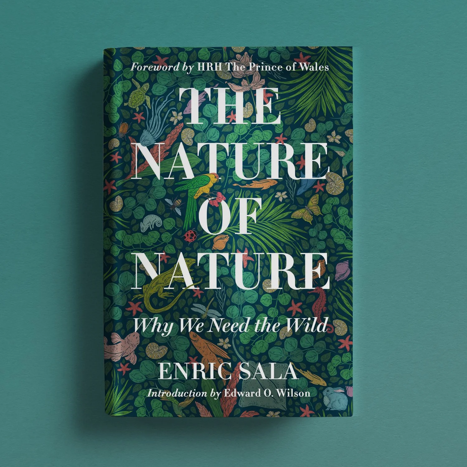The Nature of Nature