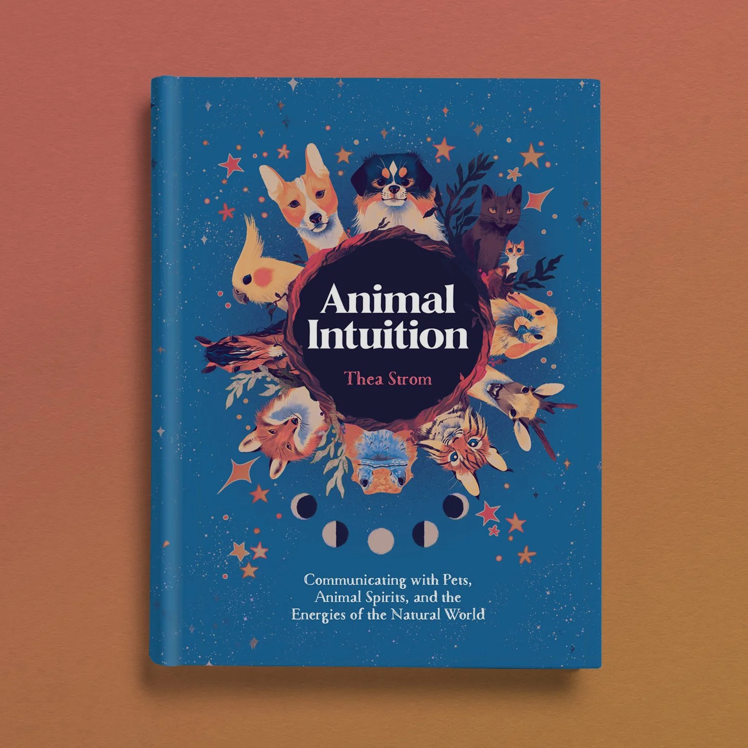 Animal Intuition
