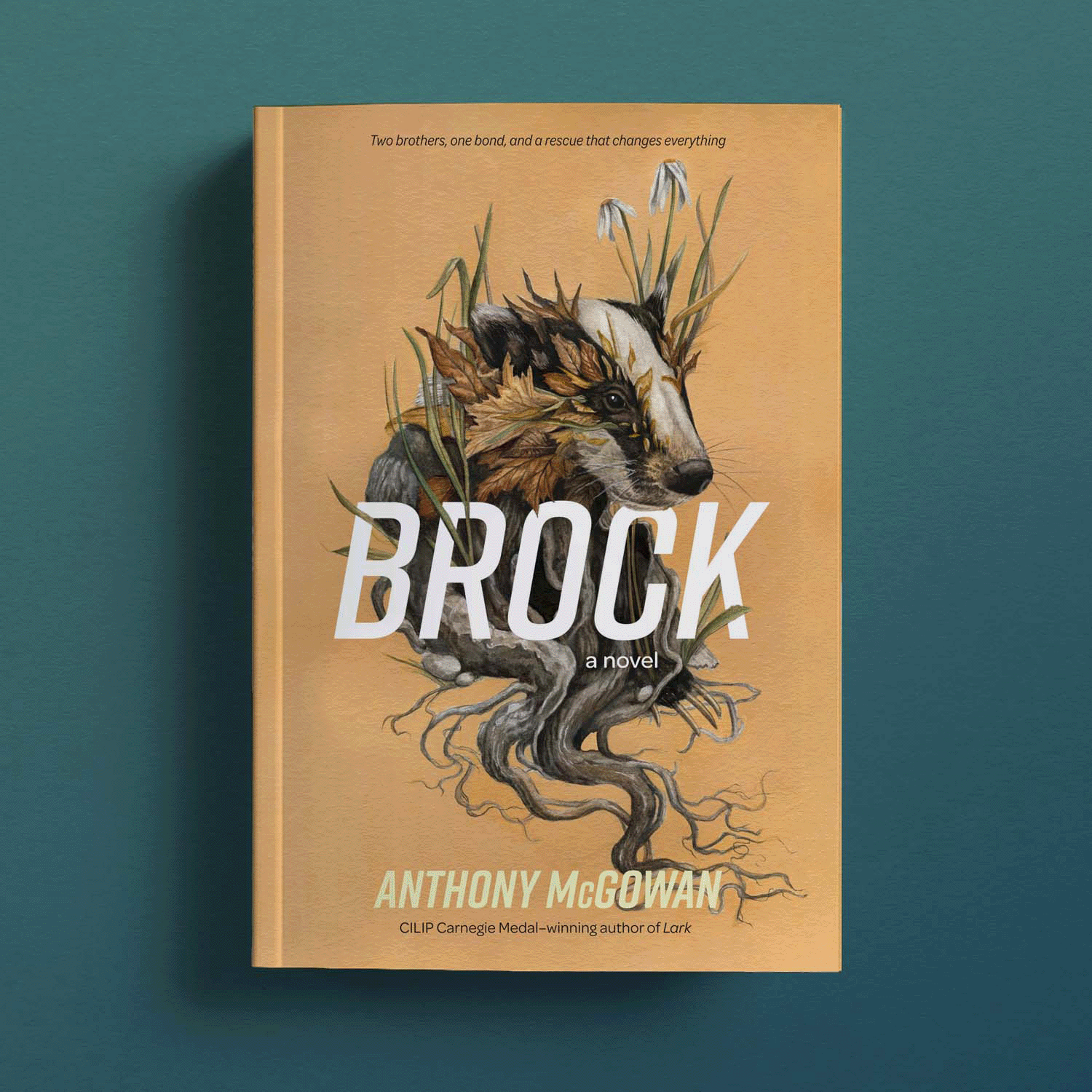Anthony McGowan Hard Truths series