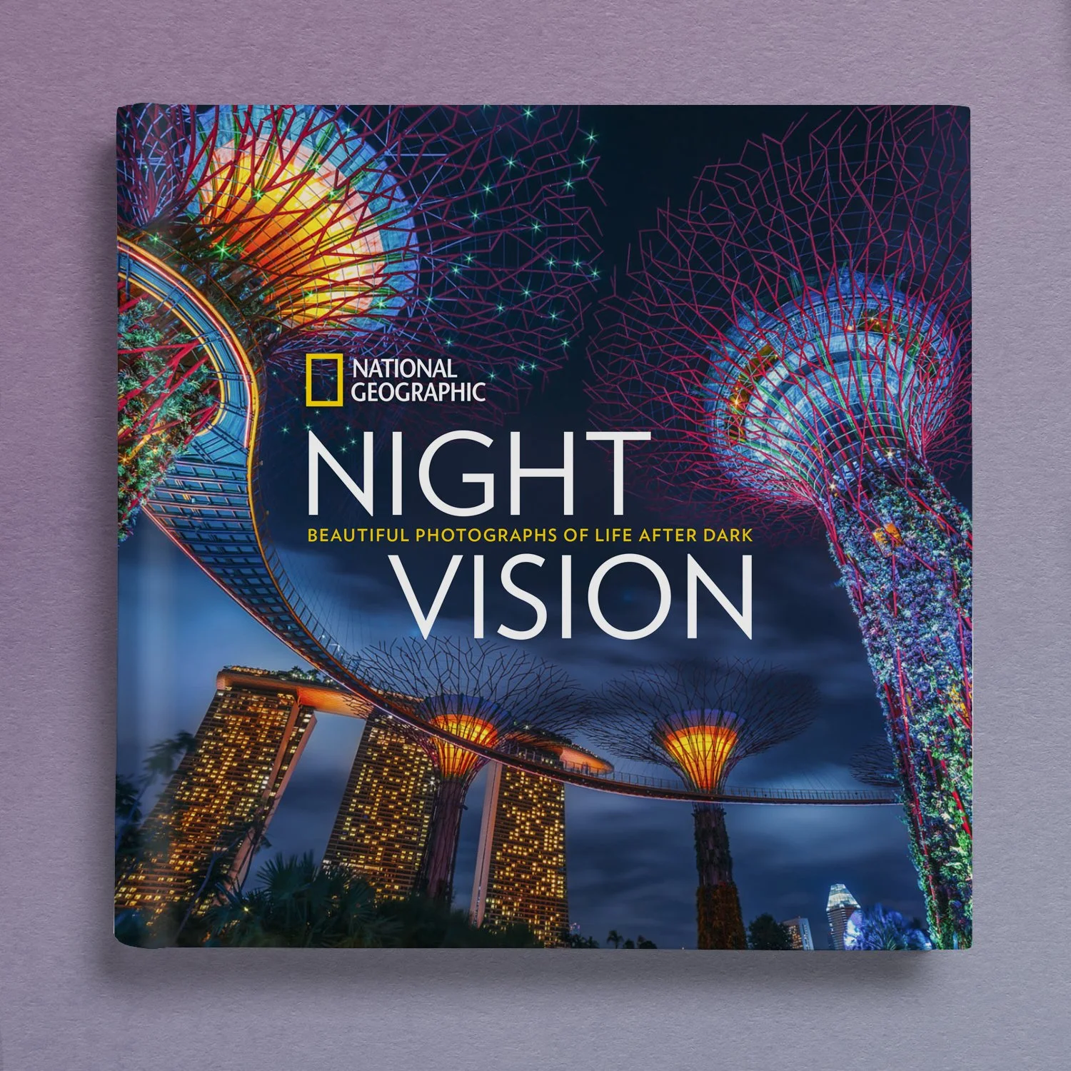 NightVision_3D.jpg