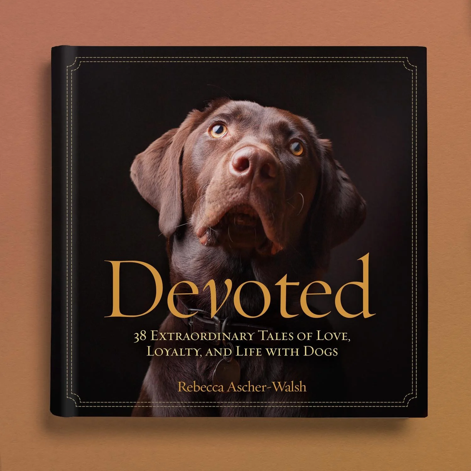 Devoted_3D.jpg