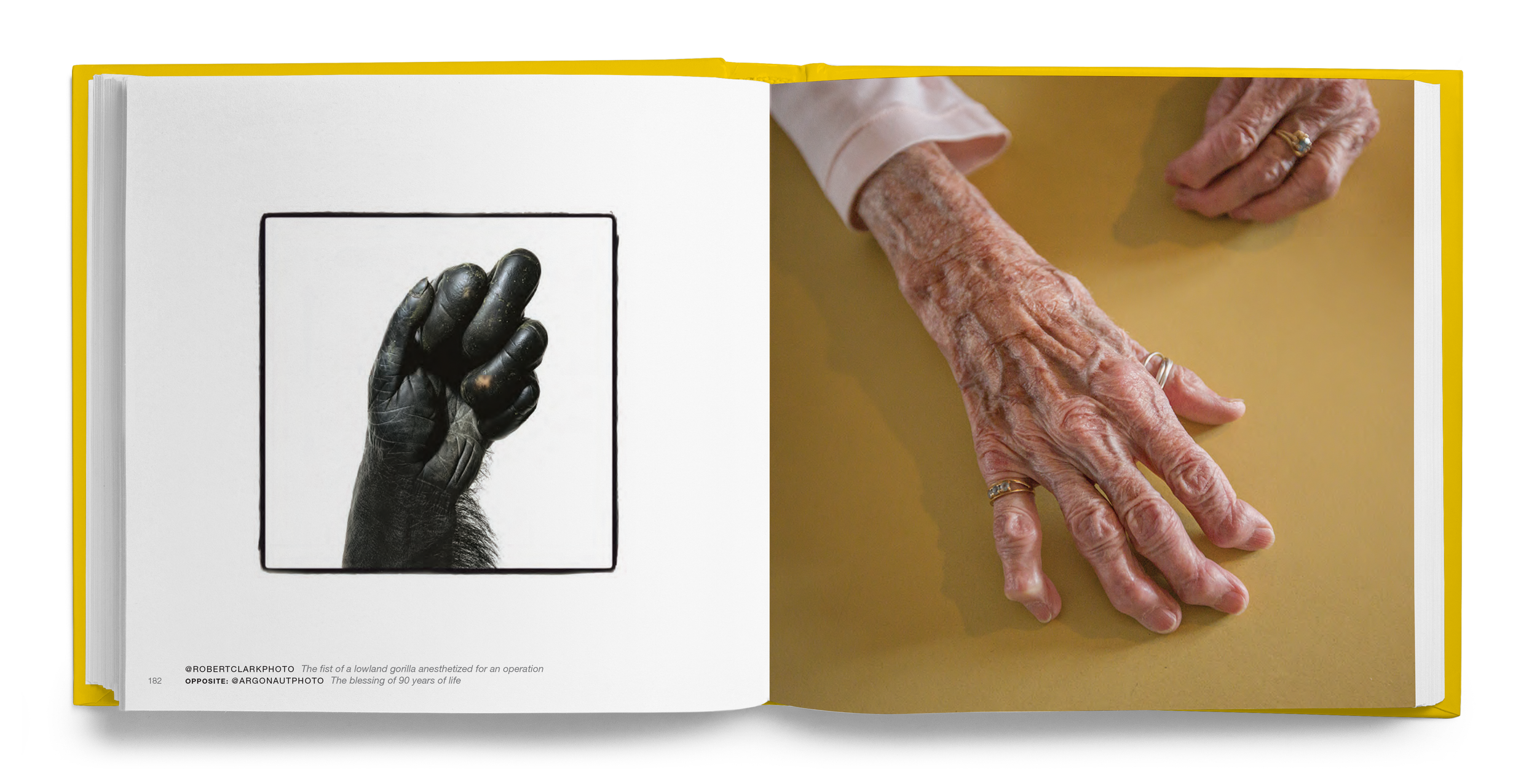 Natgeo12.png
