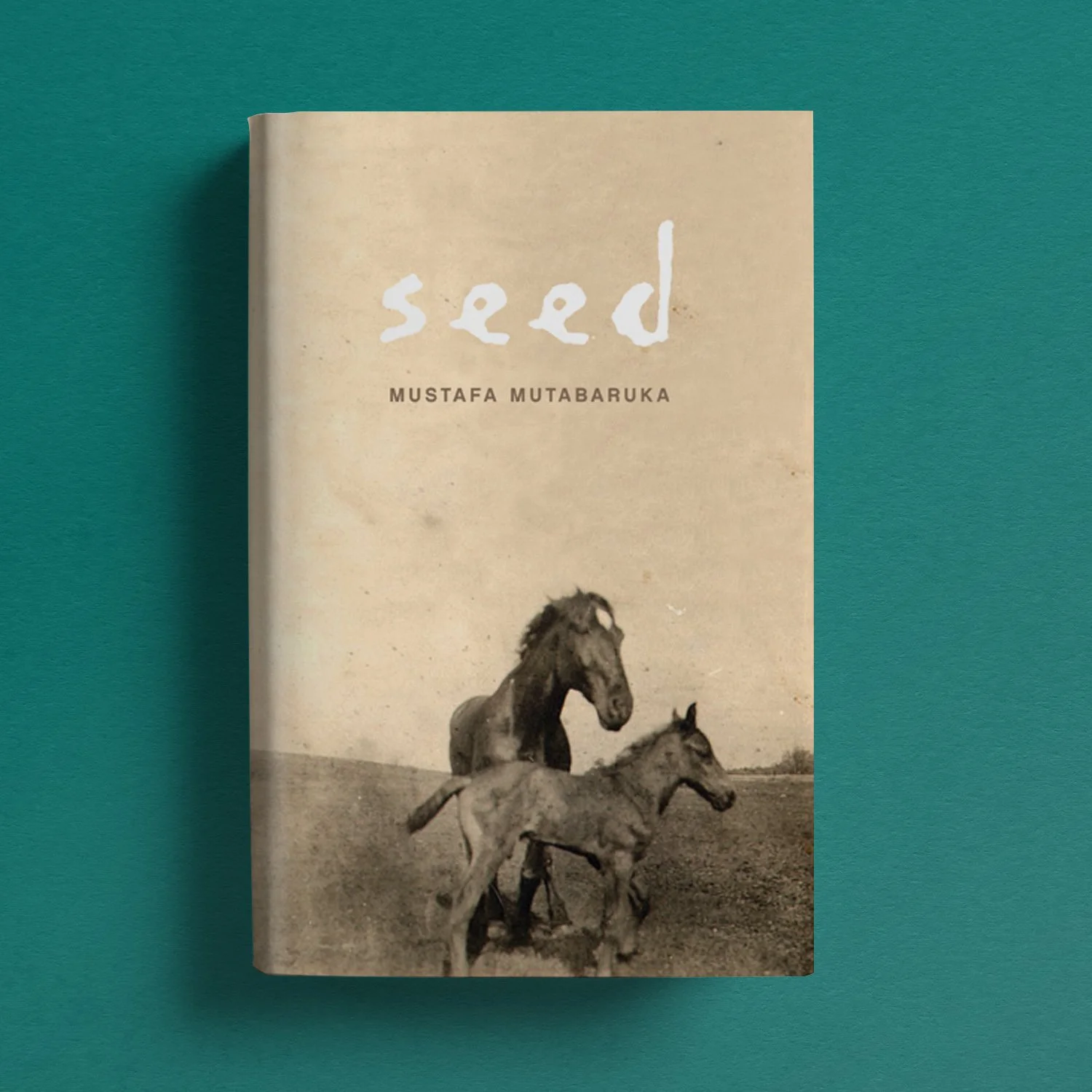 Seed