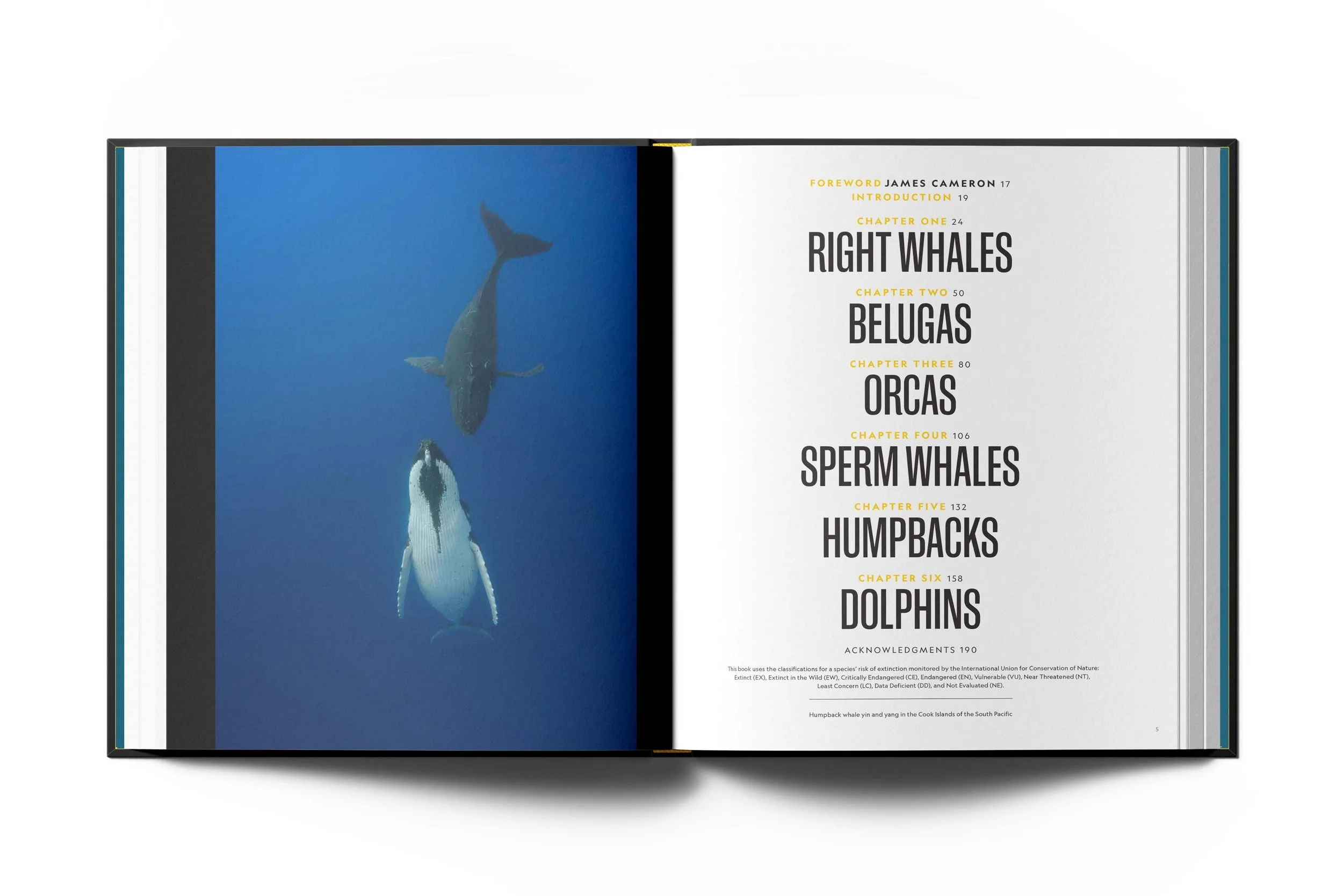 SOTW_Spread2.jpg