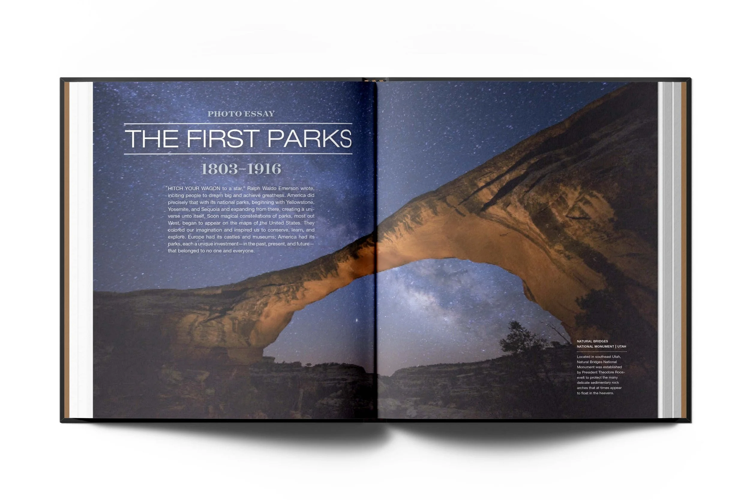 NPS_Spread20.jpg