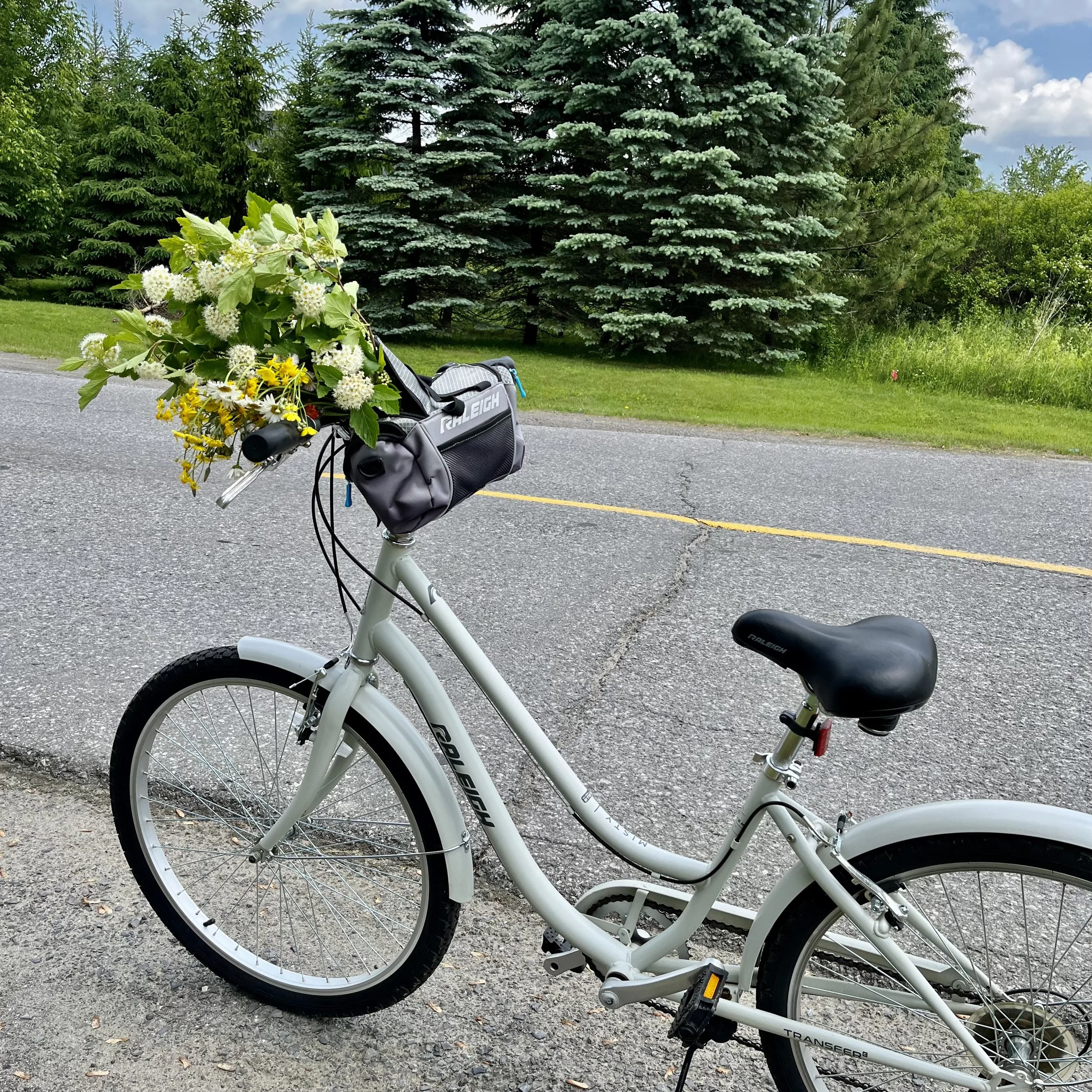 Cream womens bicycle with flowers in basket parked on road surrounded by green trees.