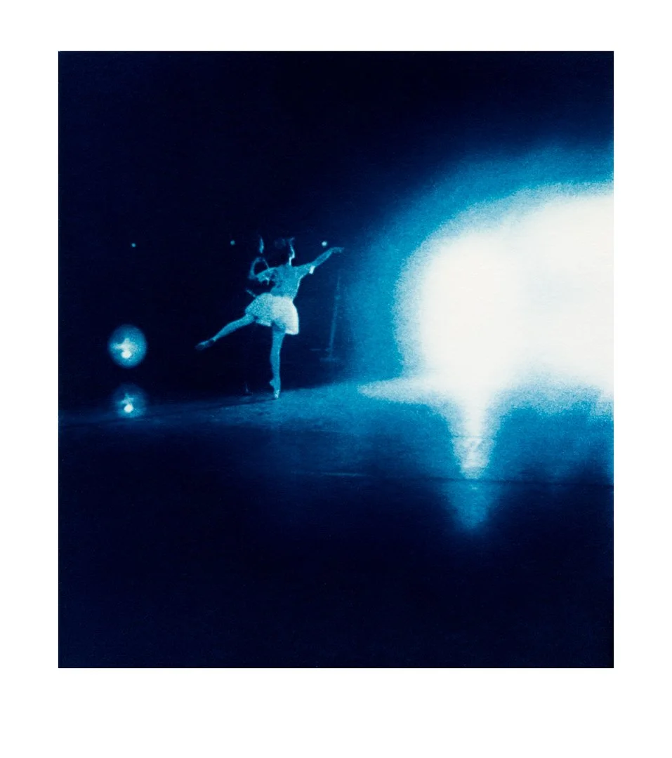 cyanoscans C  (13)-Edit.jpg