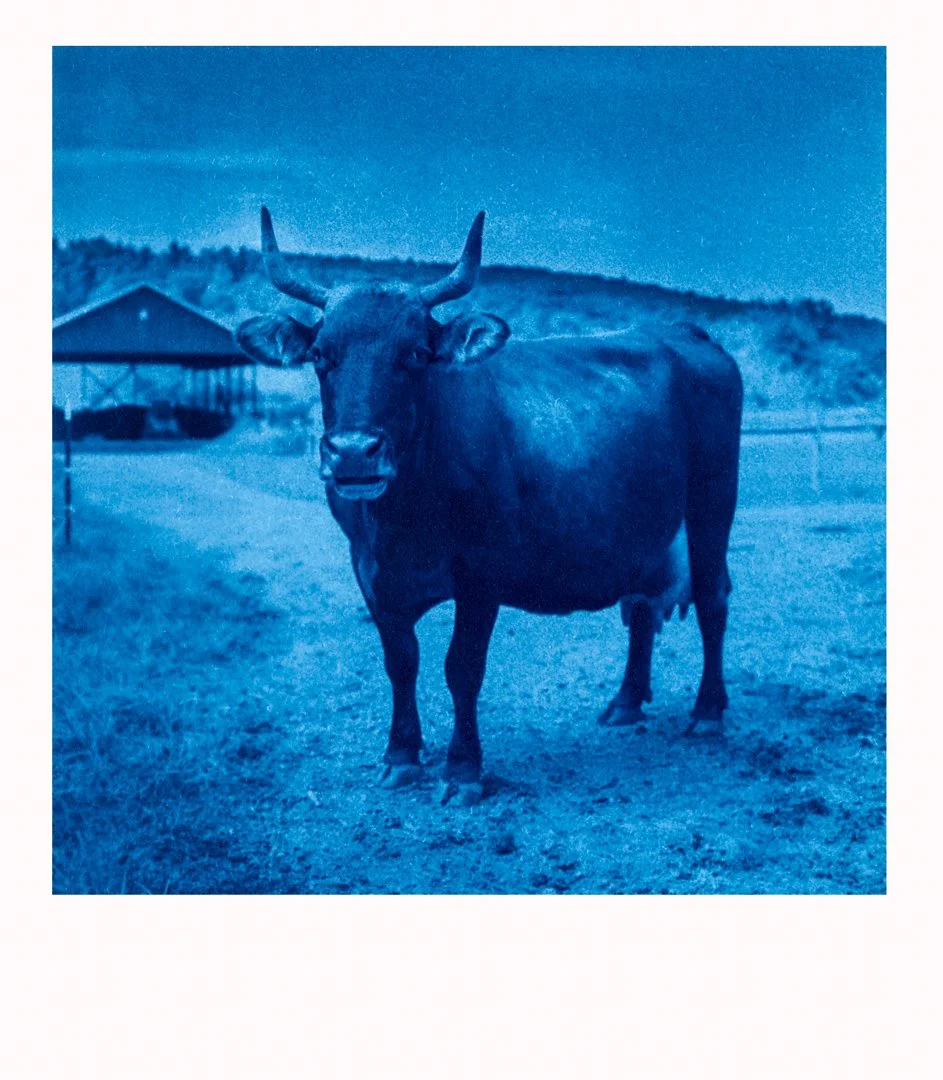 printsA  (96)-Edit.jpg