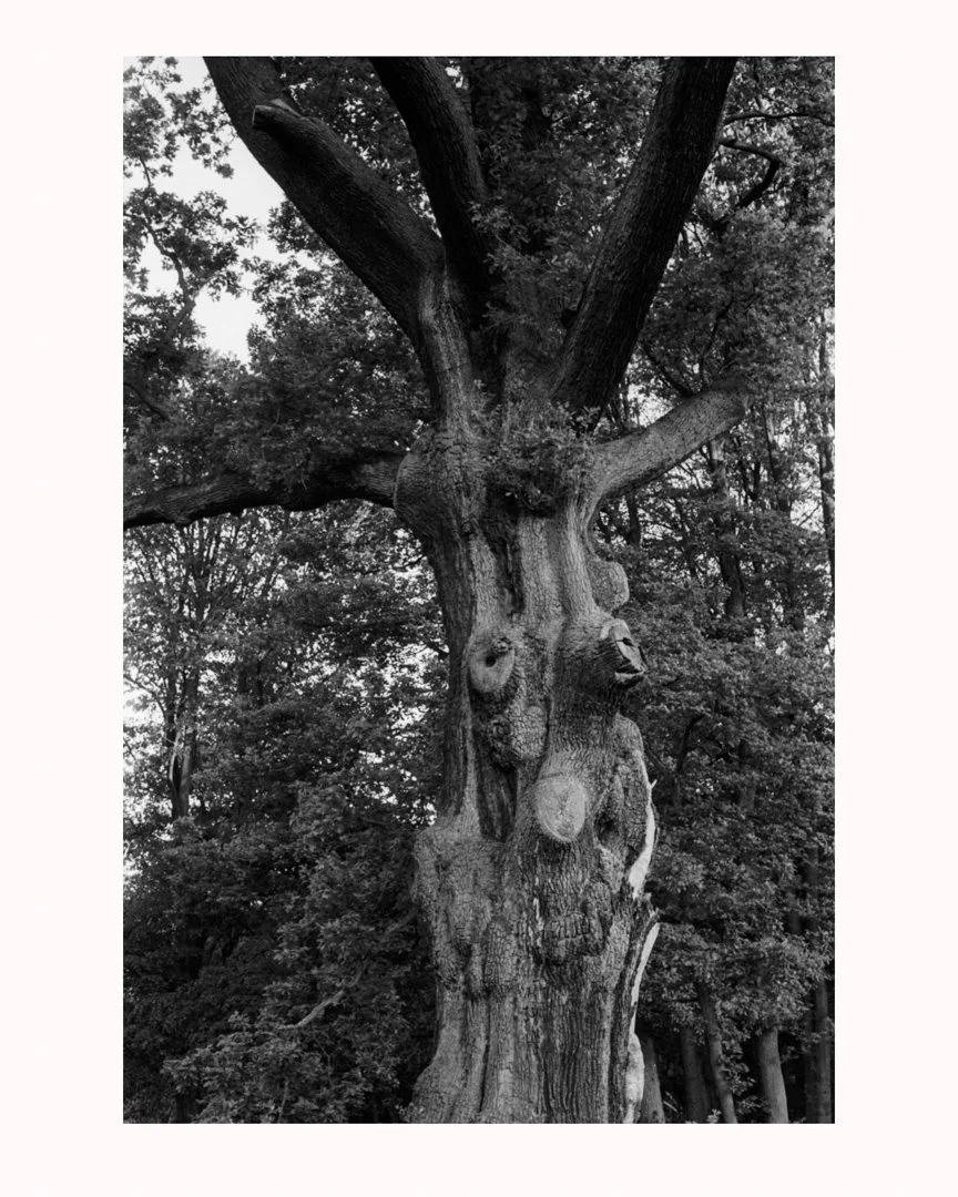 MS-20180605 37r-Edit.jpg