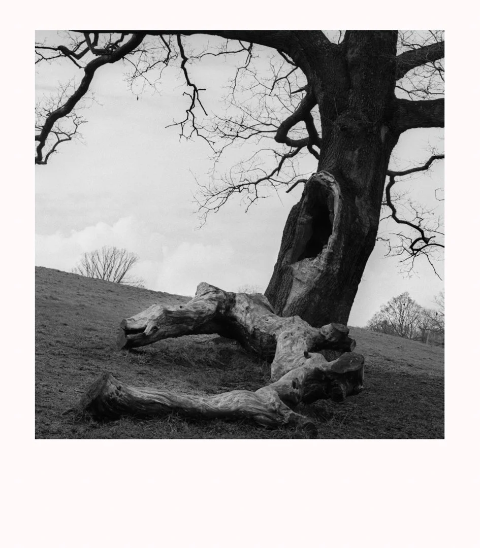 MS-20183103 12r-Edit.jpg