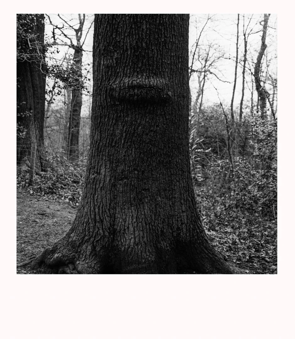 MS-20180403 1rr-Edit.jpg